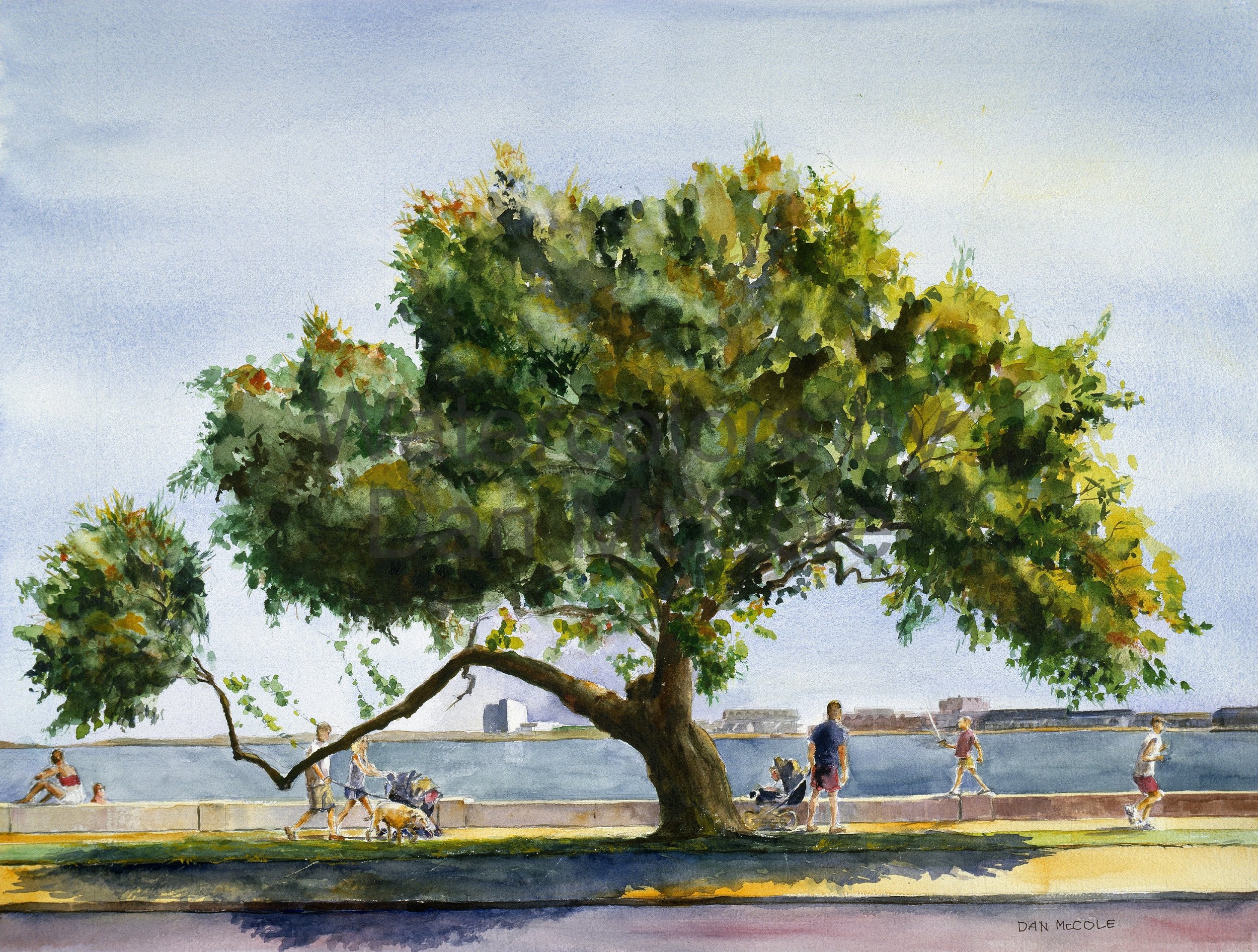 The Tree of G