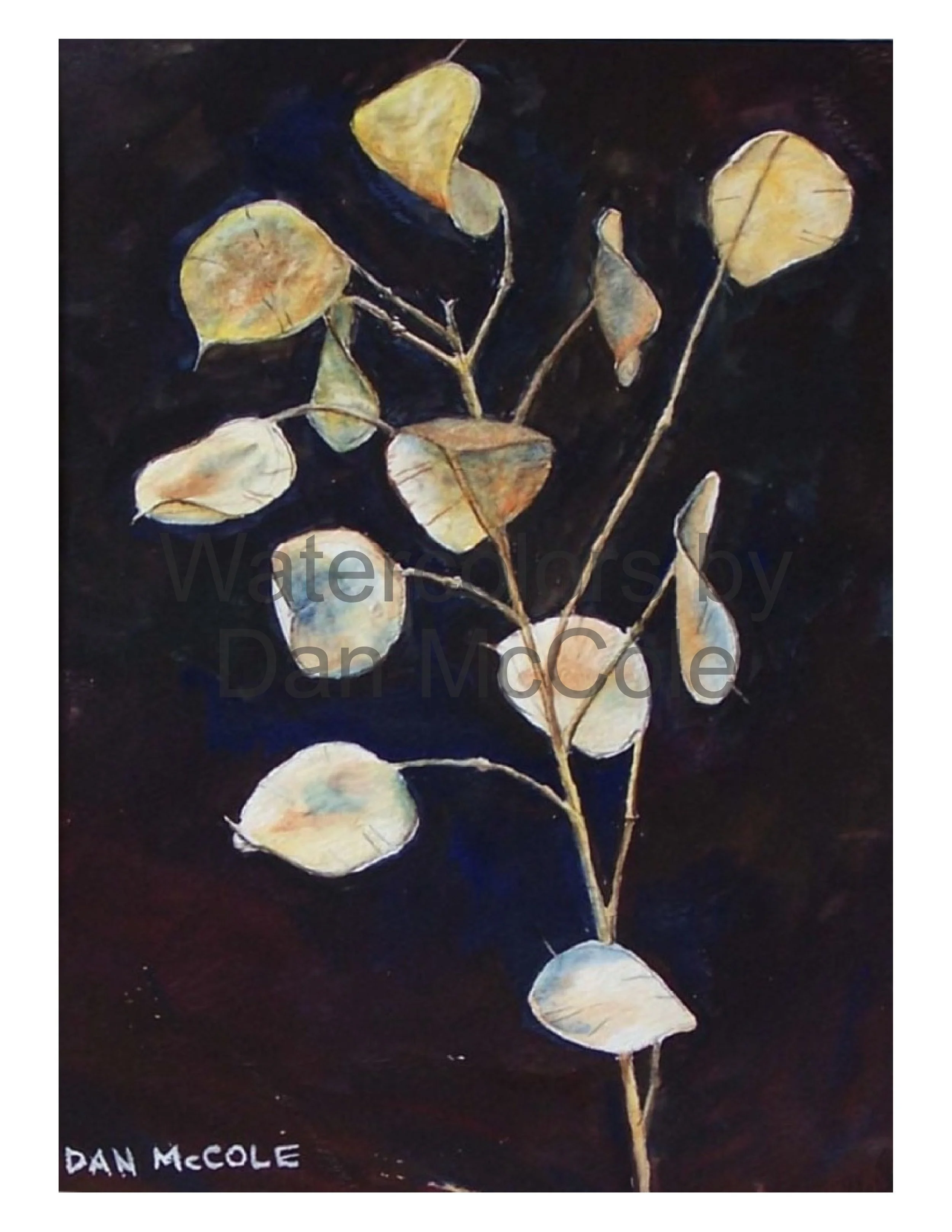 Money Tree