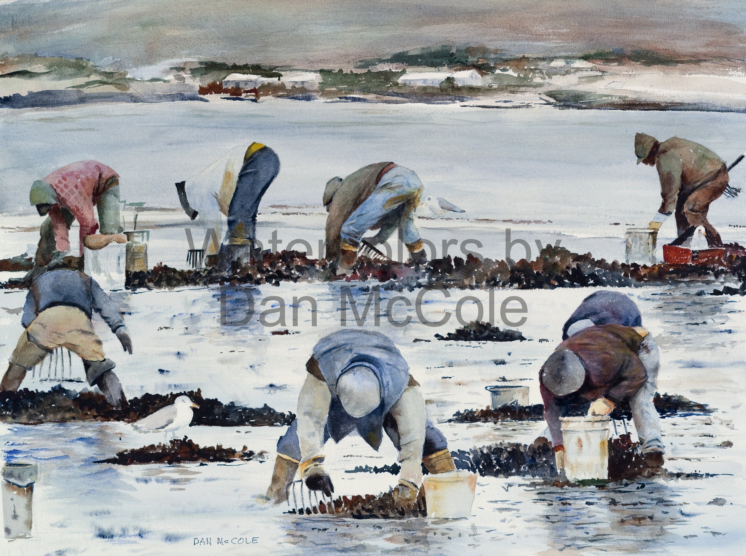 Winter Clamdiggers