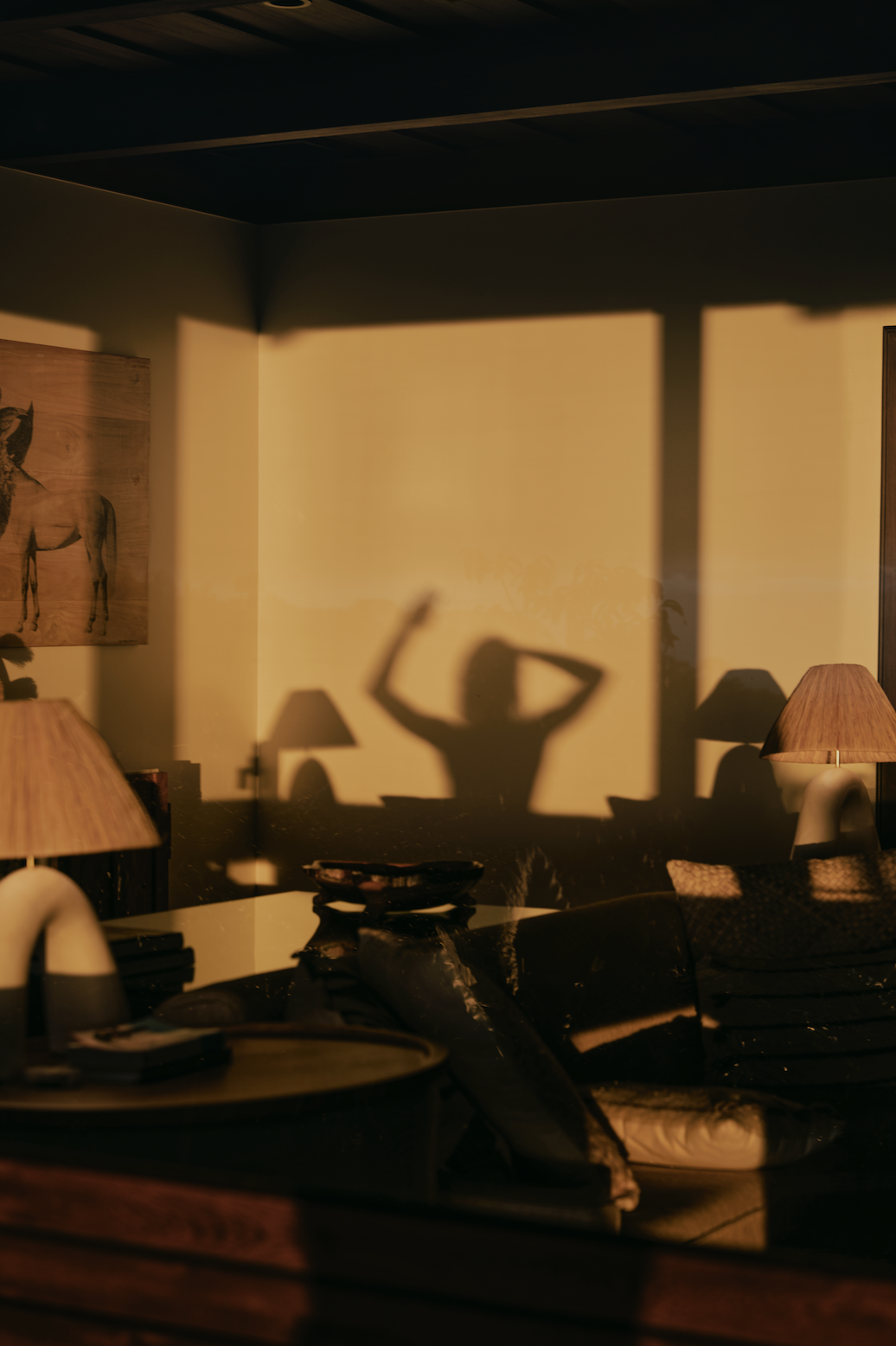 Sunlight casting a shadow of a person with arms raised on a wall in a living room, with lamps and furniture visible.