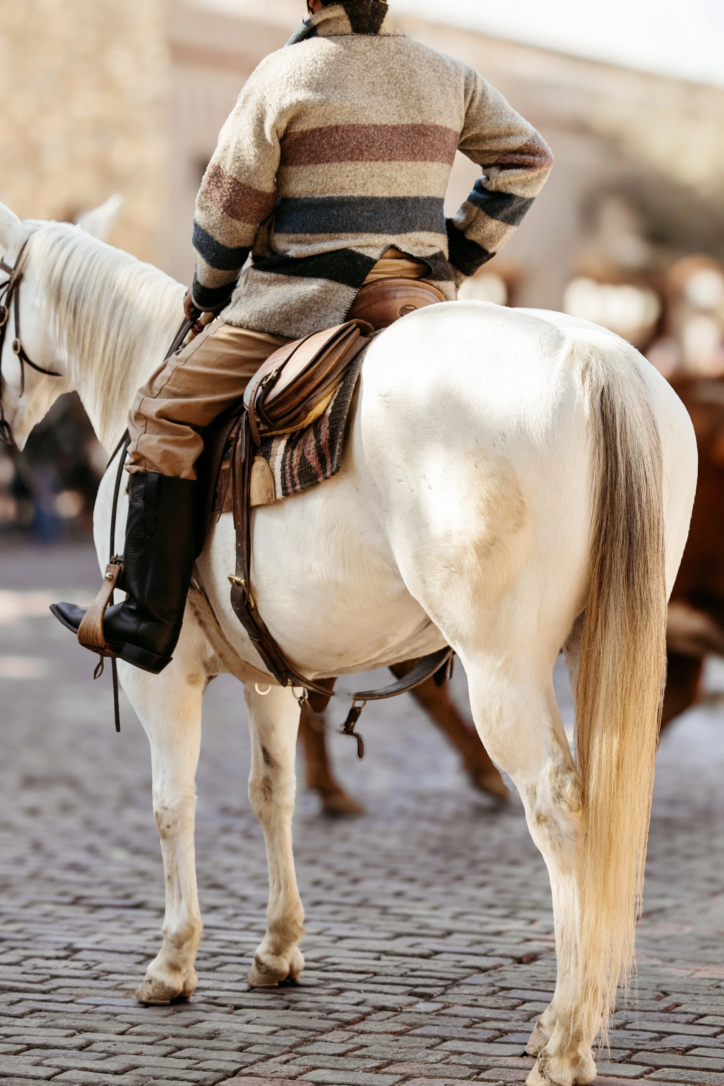 Person wearing a striped sweater riding a white horse on a cobblestone street.