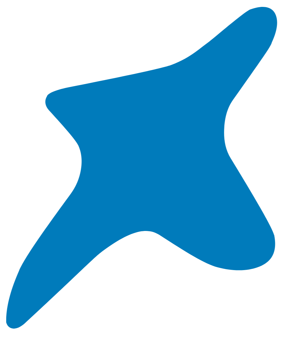 Decorative graphic of an abstract star
