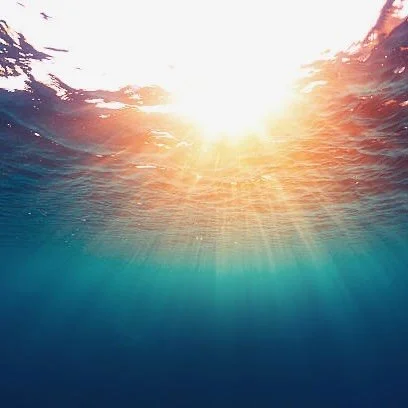 Join us tomorrow evening for a sit, dharma talk and shared group discussion. The session will be guided by Renata Malinauskas on the topic 

 &ldquo;Freedom through Embodied Investigation&rdquo;
 
In this talk, Renata explores Investigation&mdash;a v