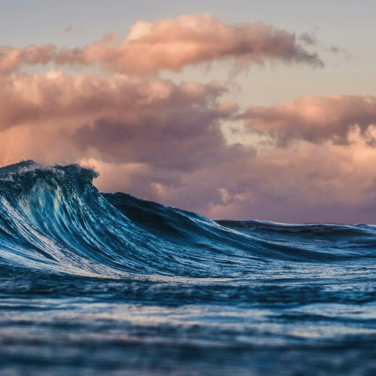 Join us tomorrow evening in Avalon for a sit, dharma talk and shared group discussion. Beginners and experienced meditators are welcome. 

The session will be guided by Renata Malinauskas on the topic &ldquo;Coming Home to our True Nature&rdquo;.
 
&
