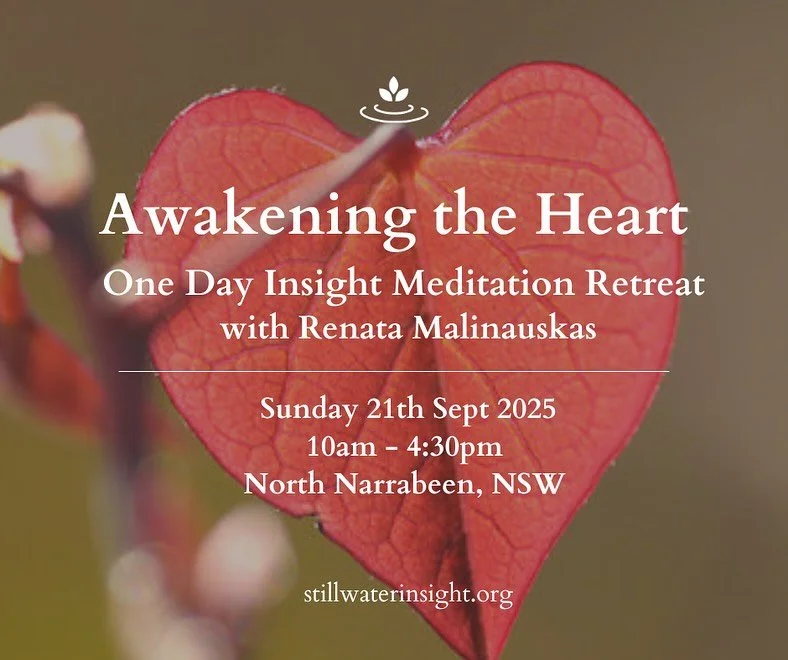 This one-day silent retreat with @renatamalinauskas_ is an opportunity for you to deepen your connection with the boundless qualities of the heart &ndash; kindness, joy, compassion, and equanimity &ndash; as a foundation for developing insight and fr