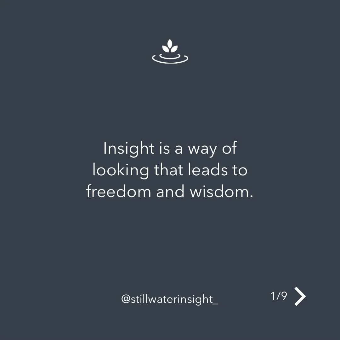 Insight is a way of looking that leads to freedom and wisdom.

Often, we approach our experience through the lens of something to heal, understand, fix, or find relief from. While these intentions have their place, insight practice invites a differen