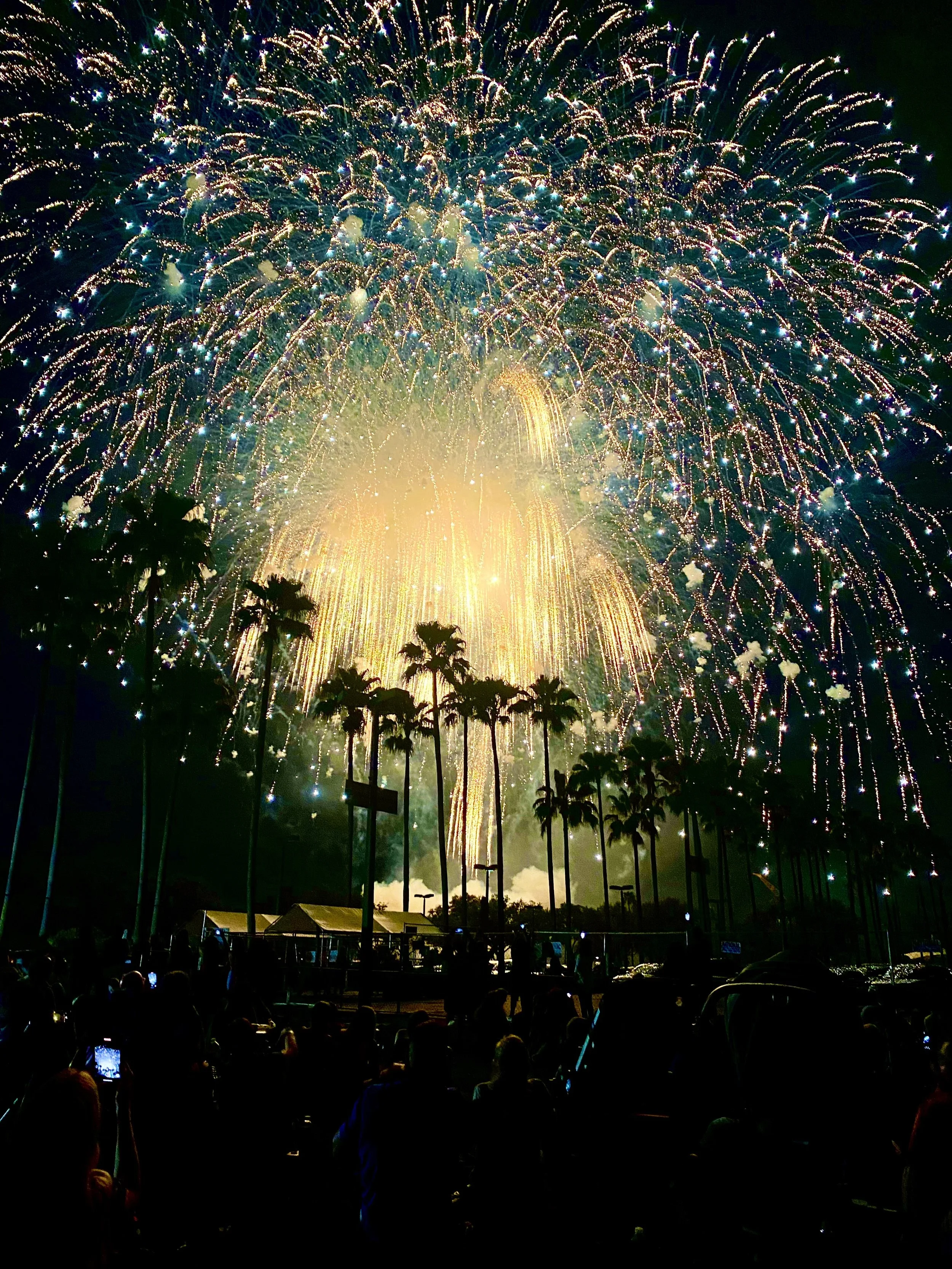 Colorful fireworks illuminating the night sky above a crowd, with silhouettes of palm trees and a cross-shaped sign in the foreground.