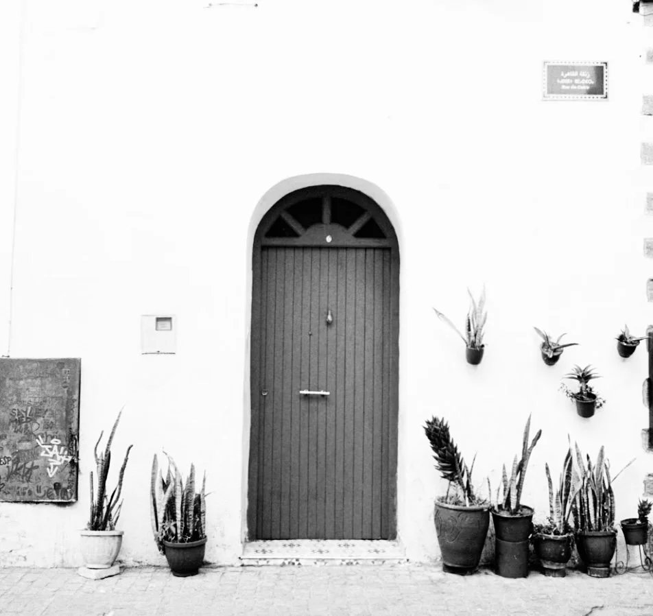 A black wooden door with an arched top, set in a white wall, with potted plants on either side and small wall-mounted planters on the right.