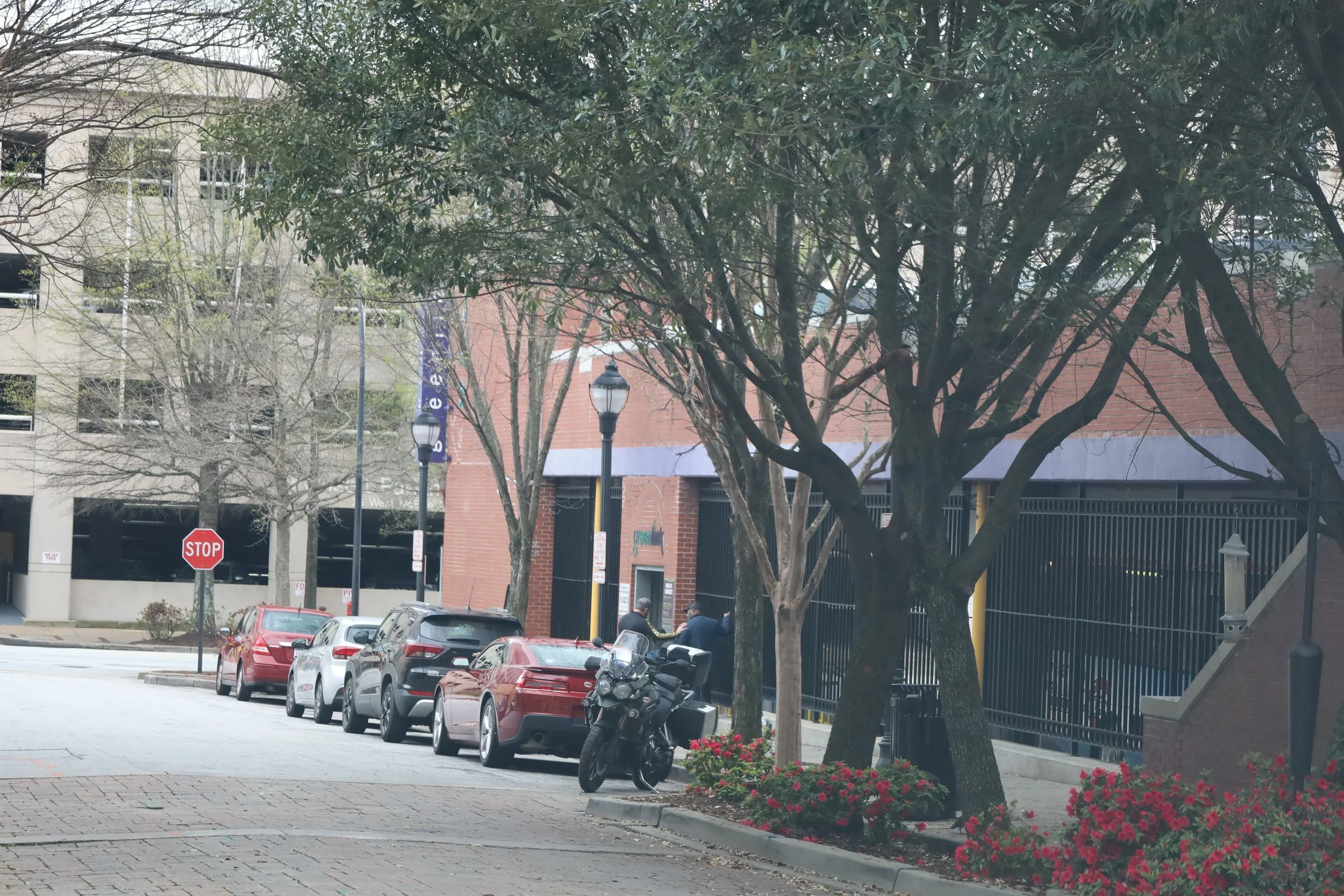 City street scene with parked cars, trees, a motorcycle, a stop sign, and a building in the background.