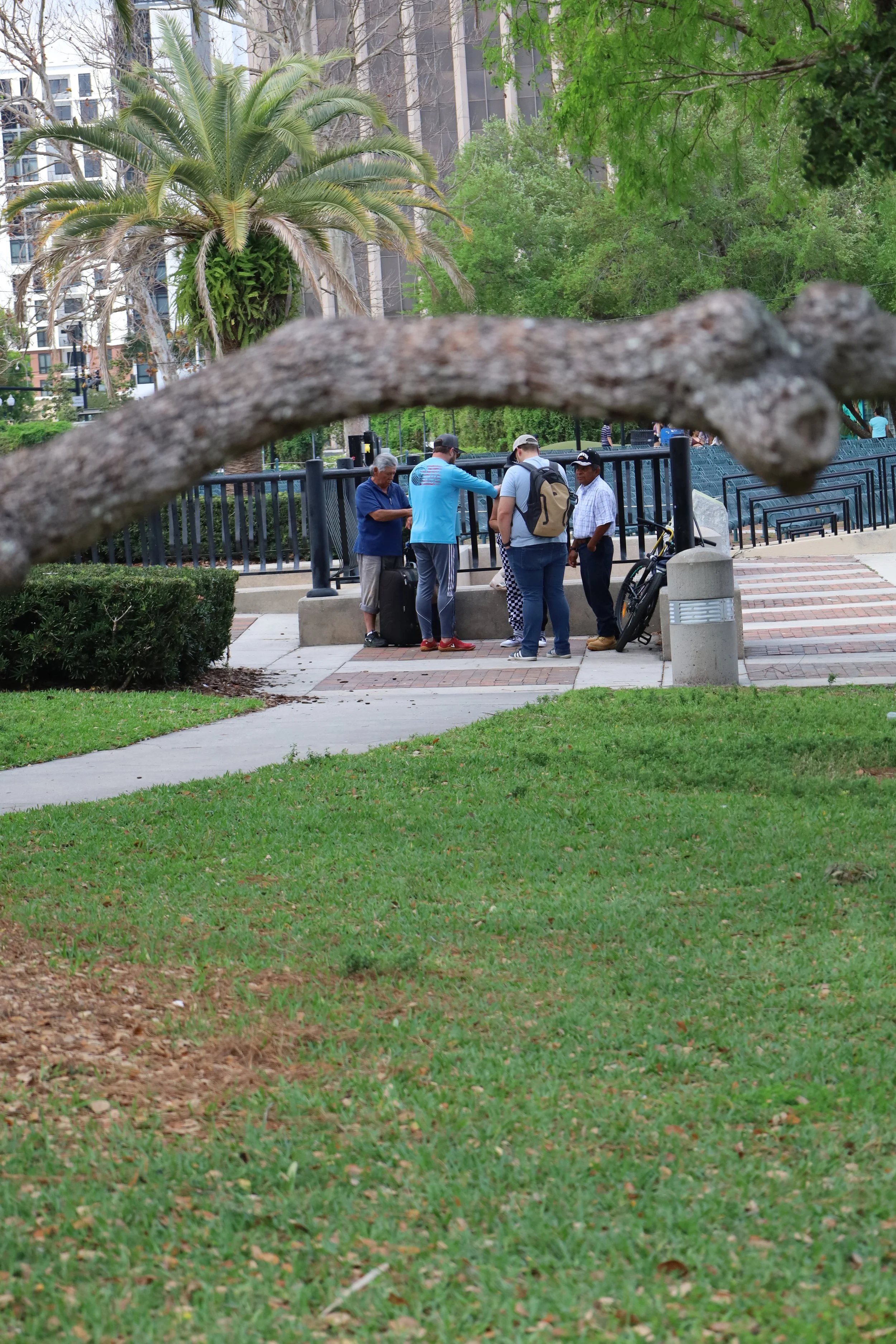 A group of people standing and talking near a water fountain in a park, with lush green trees and a palm tree in the background.