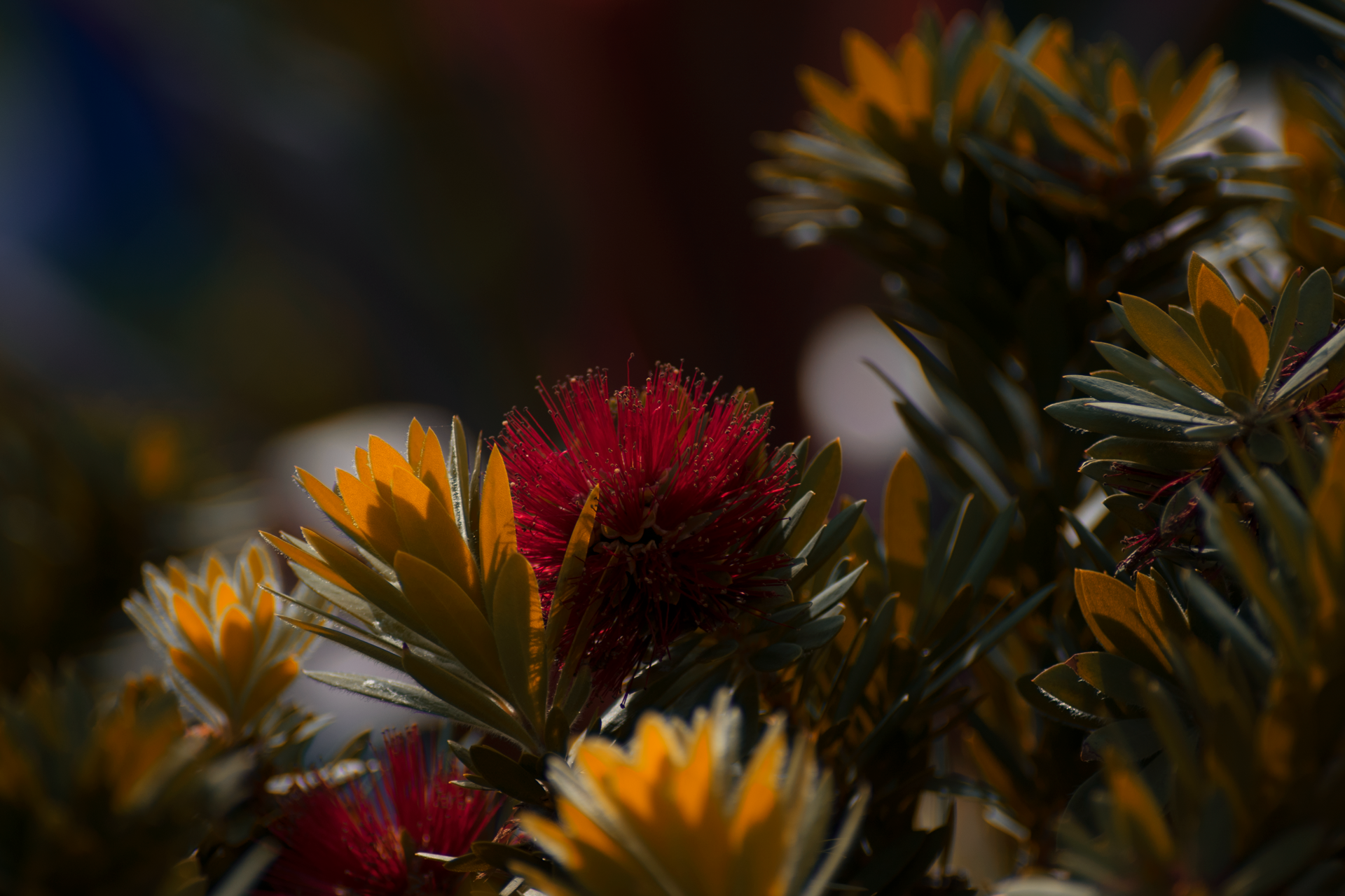 DSC_3364.png