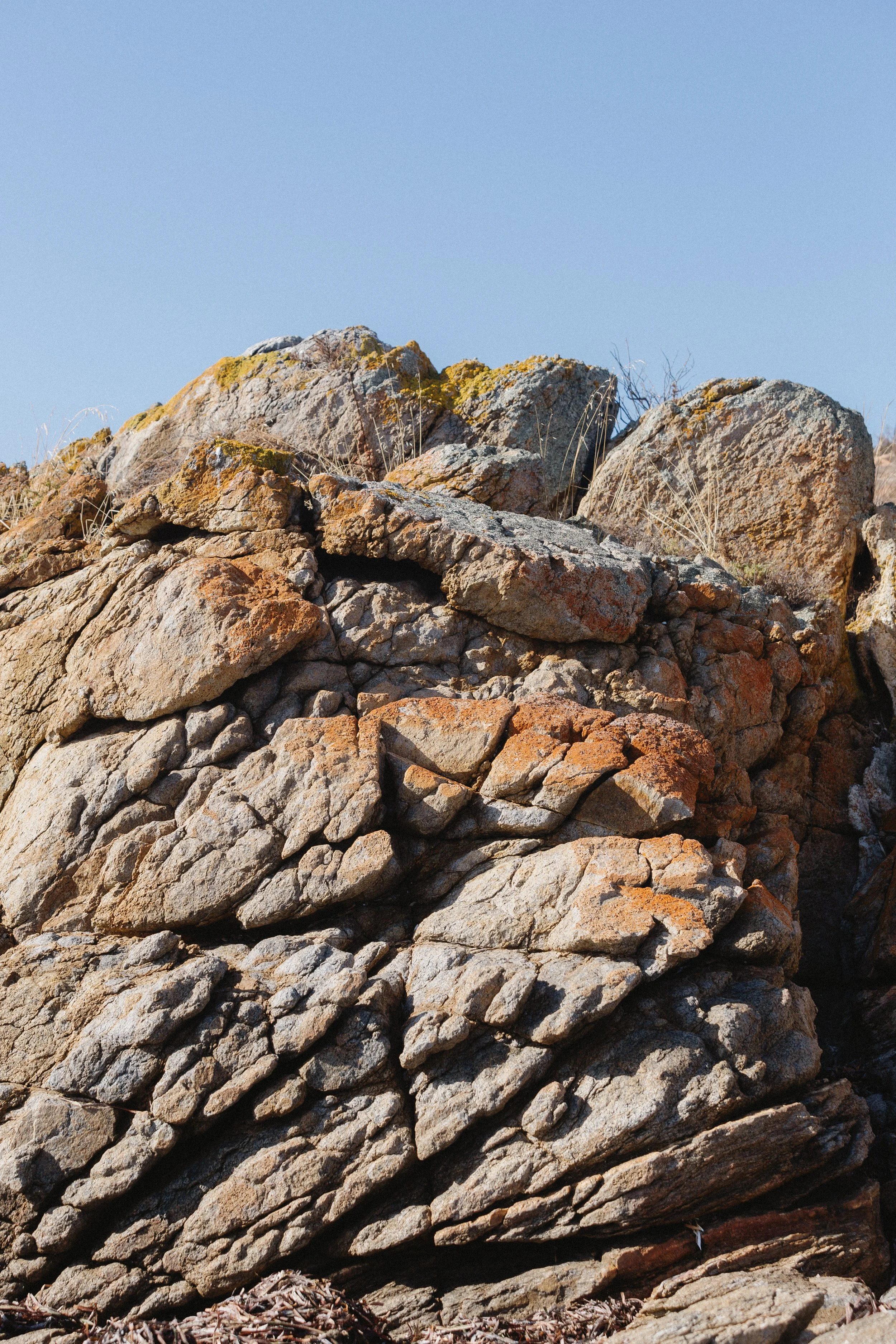 CN Wedding day c2-27.jpg