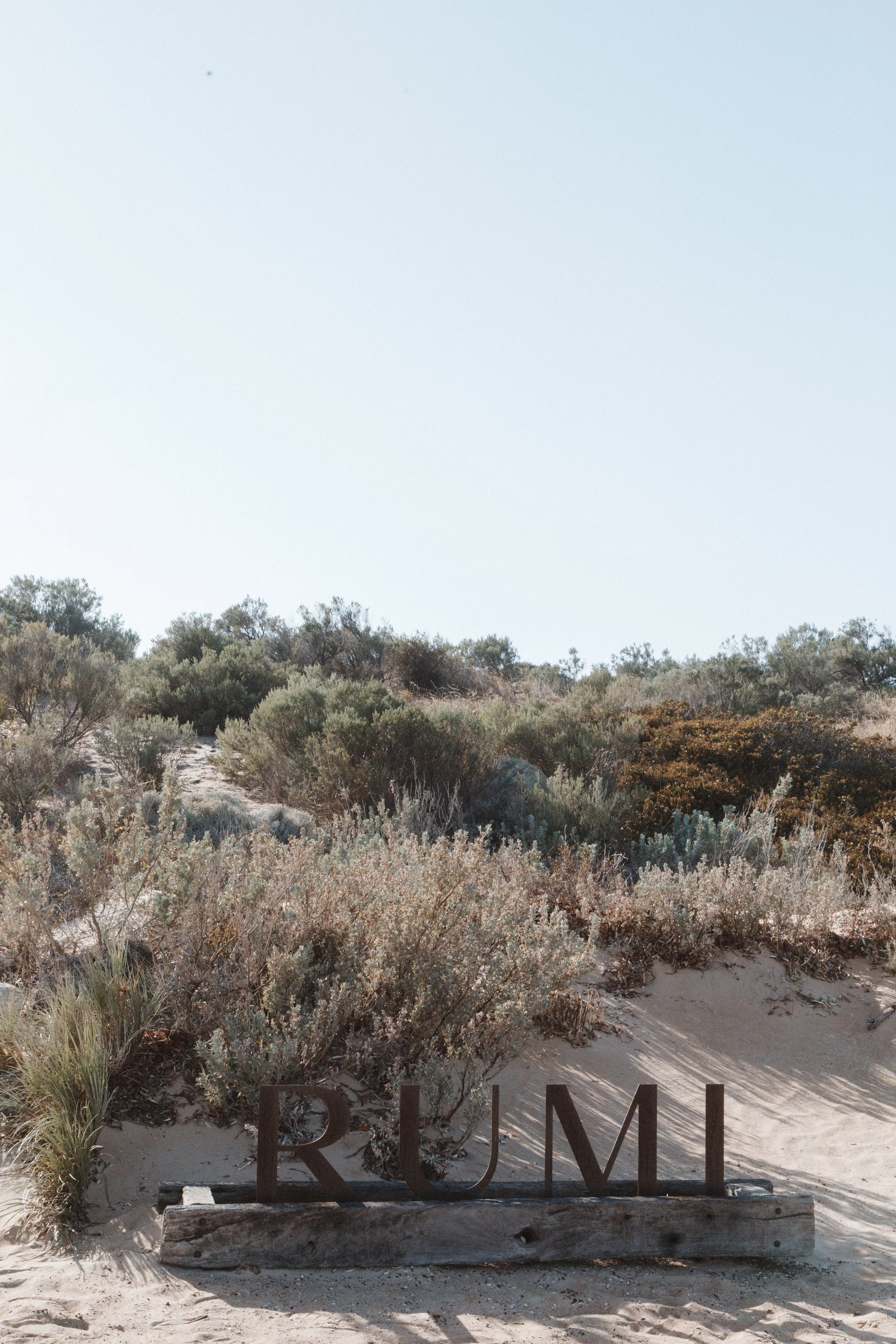 CN Wedding day c1-50.jpg