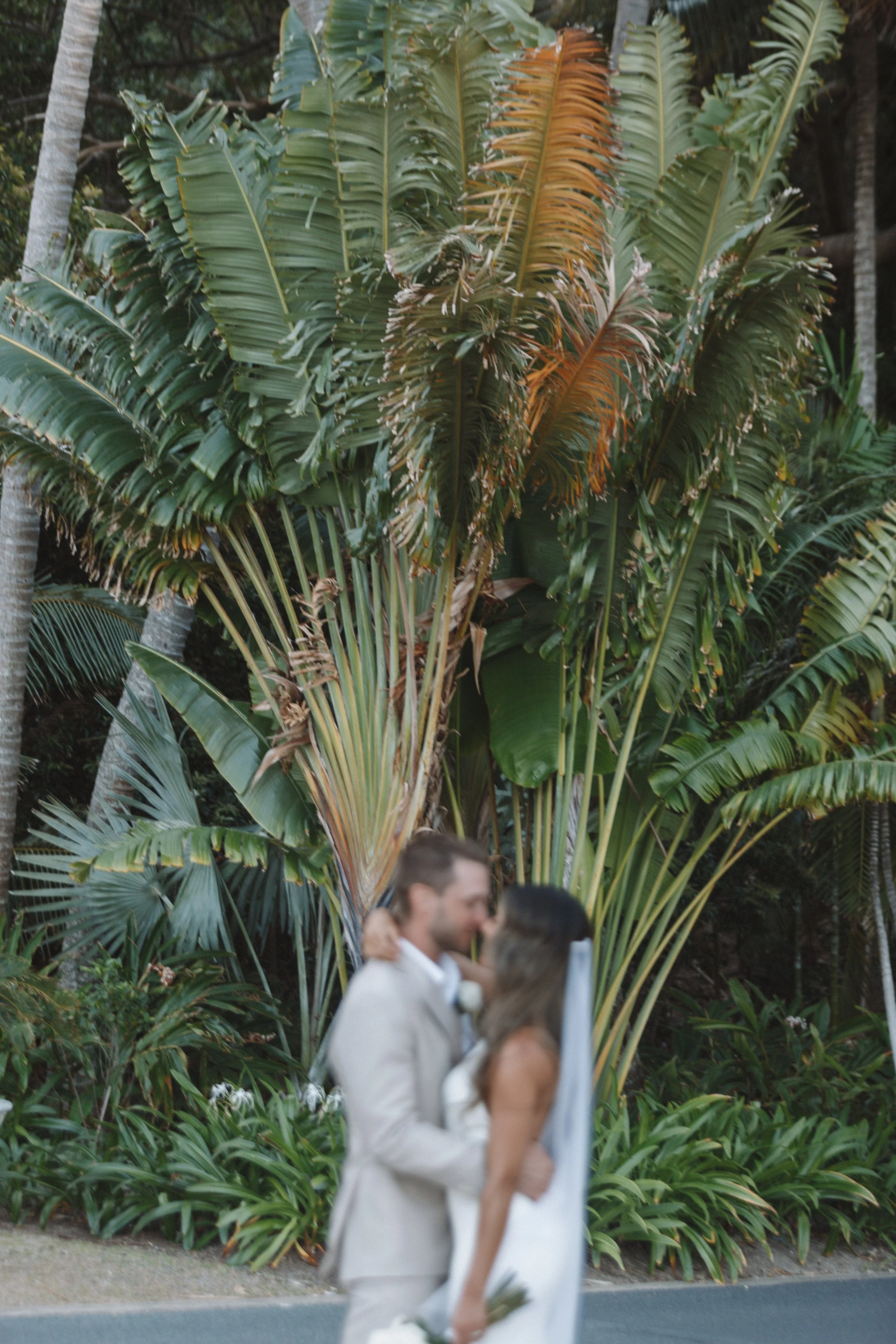 JN Hayman Island_-20.jpg