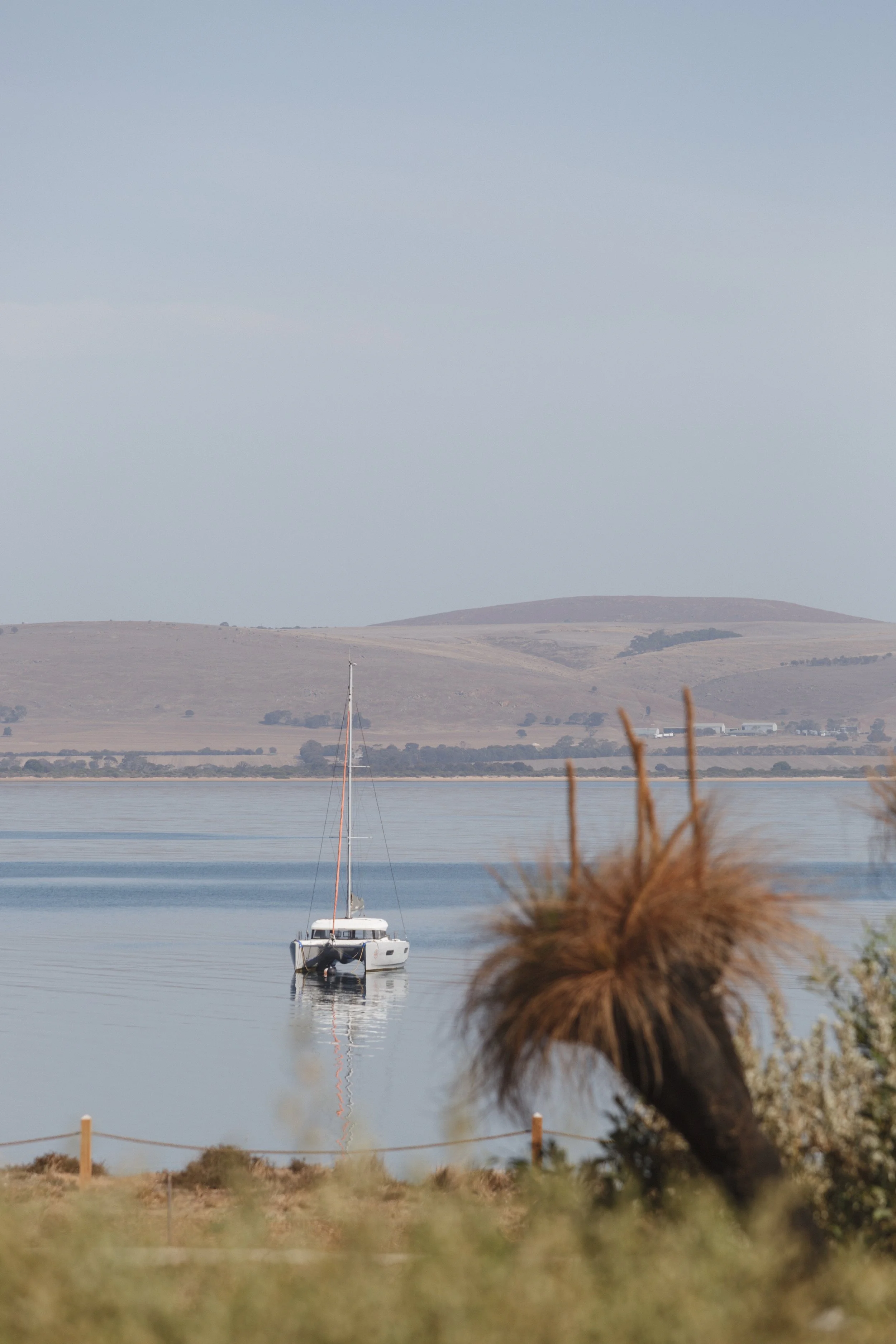 CN Wedding day c2-33.jpg