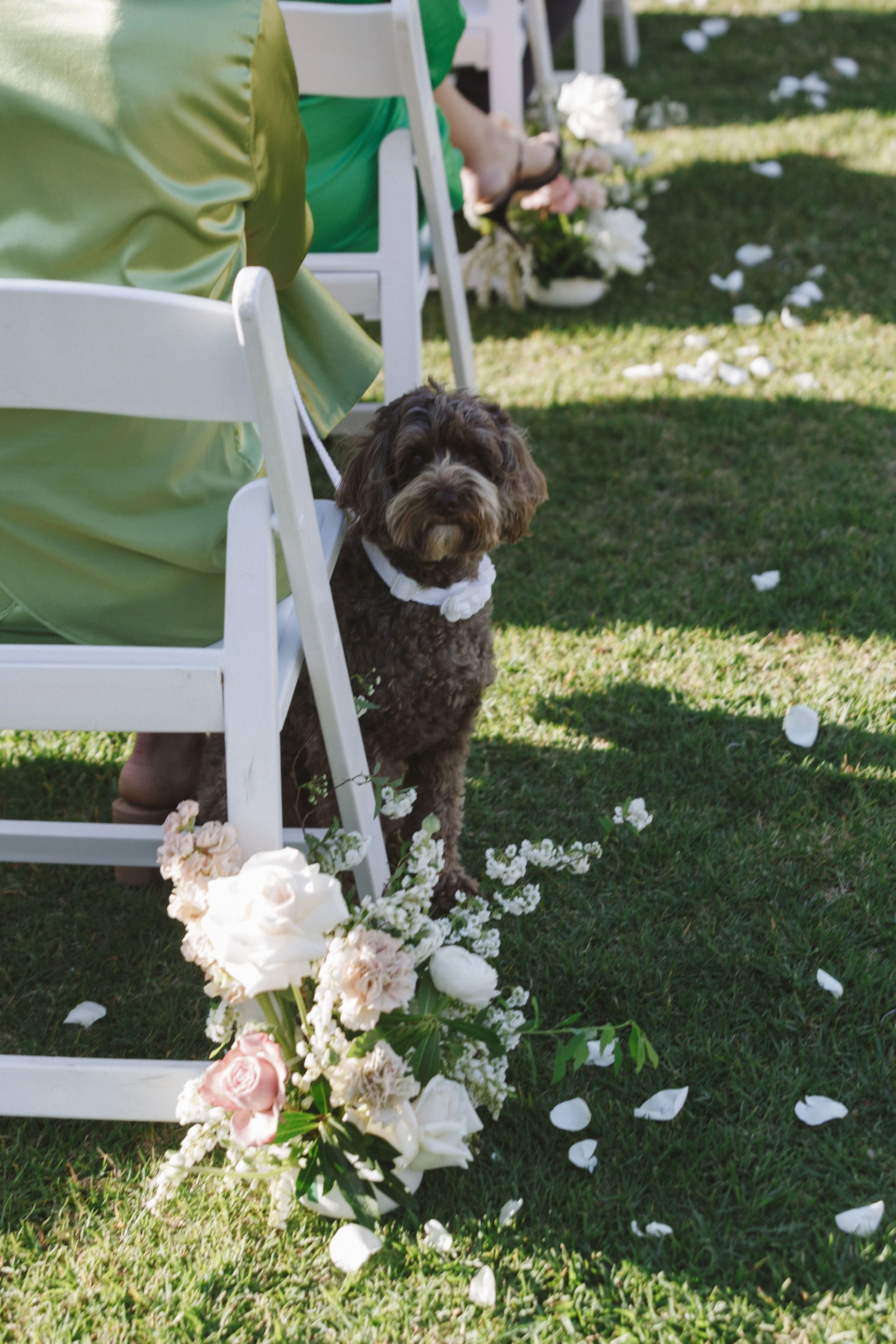 Bonnie McEvoy Photography-12.jpg