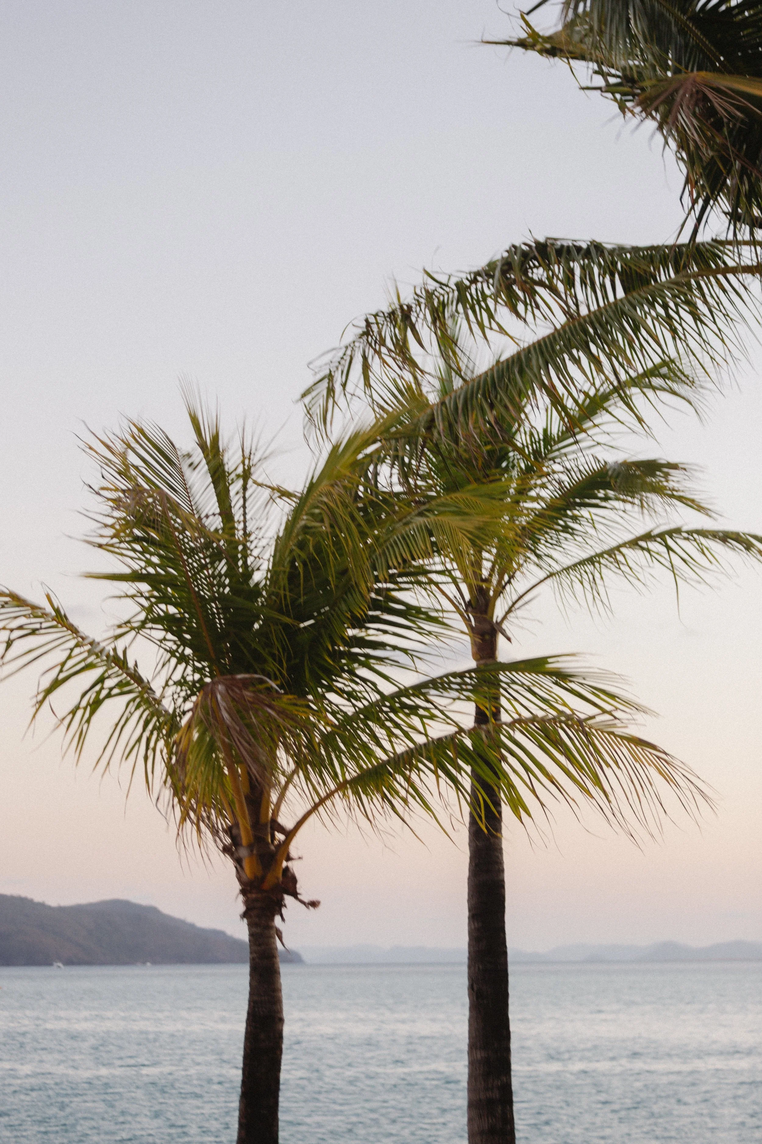 JN Hayman Island_-73.jpg