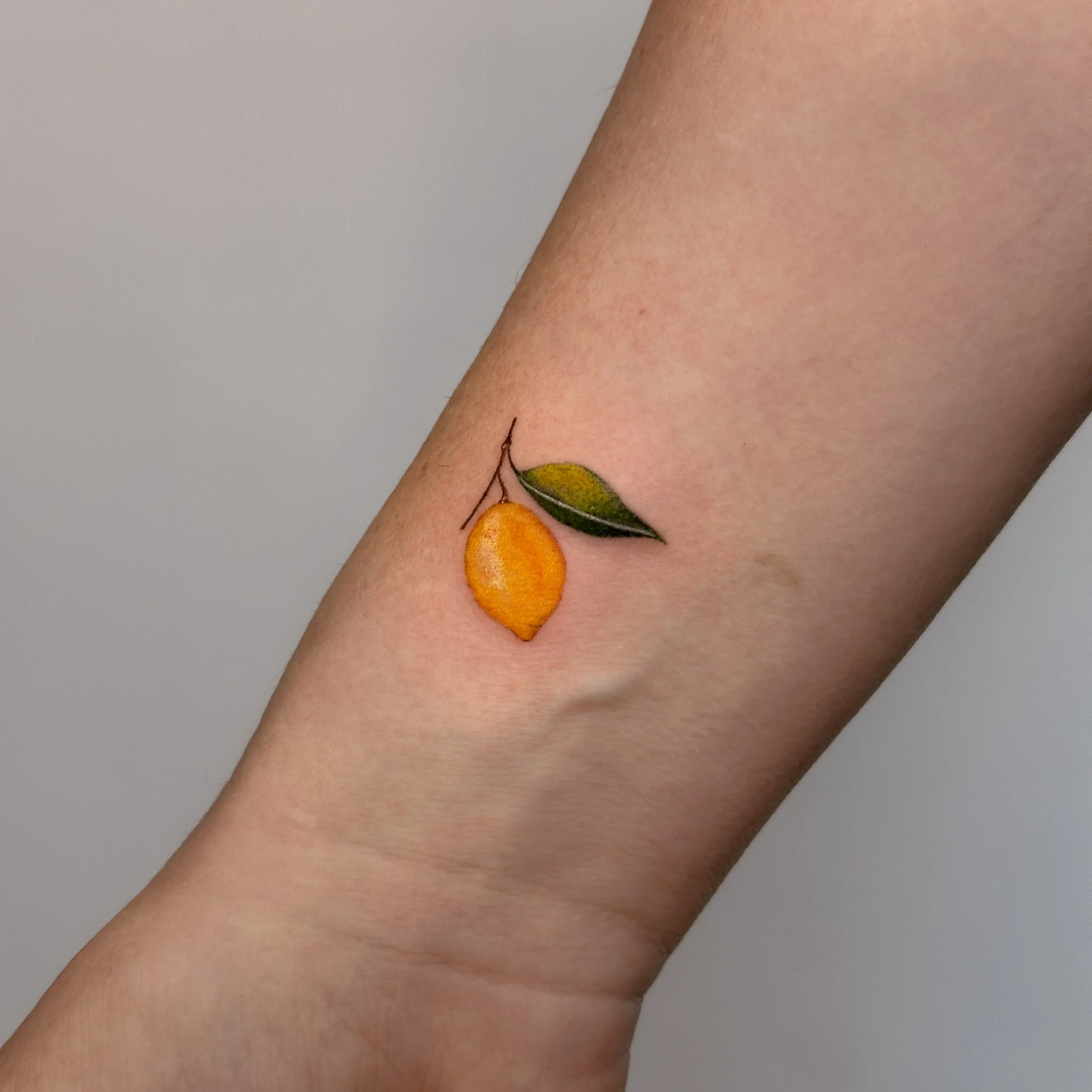 Copy of lemon 1.jpg