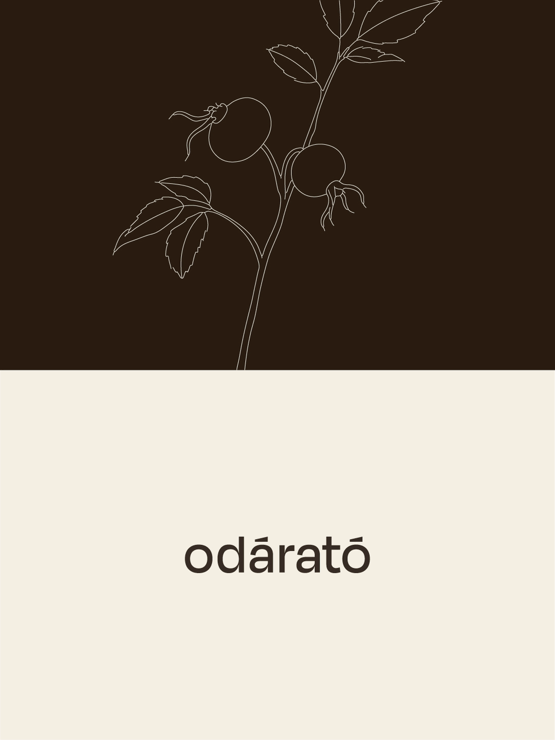 03.gif