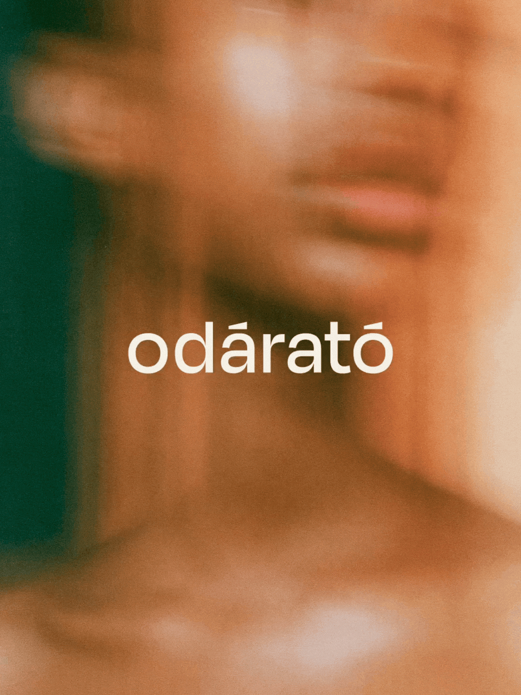 04.gif