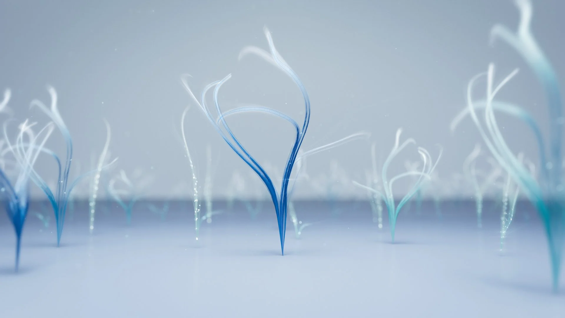 brand-image-bloom-1-light.jpg