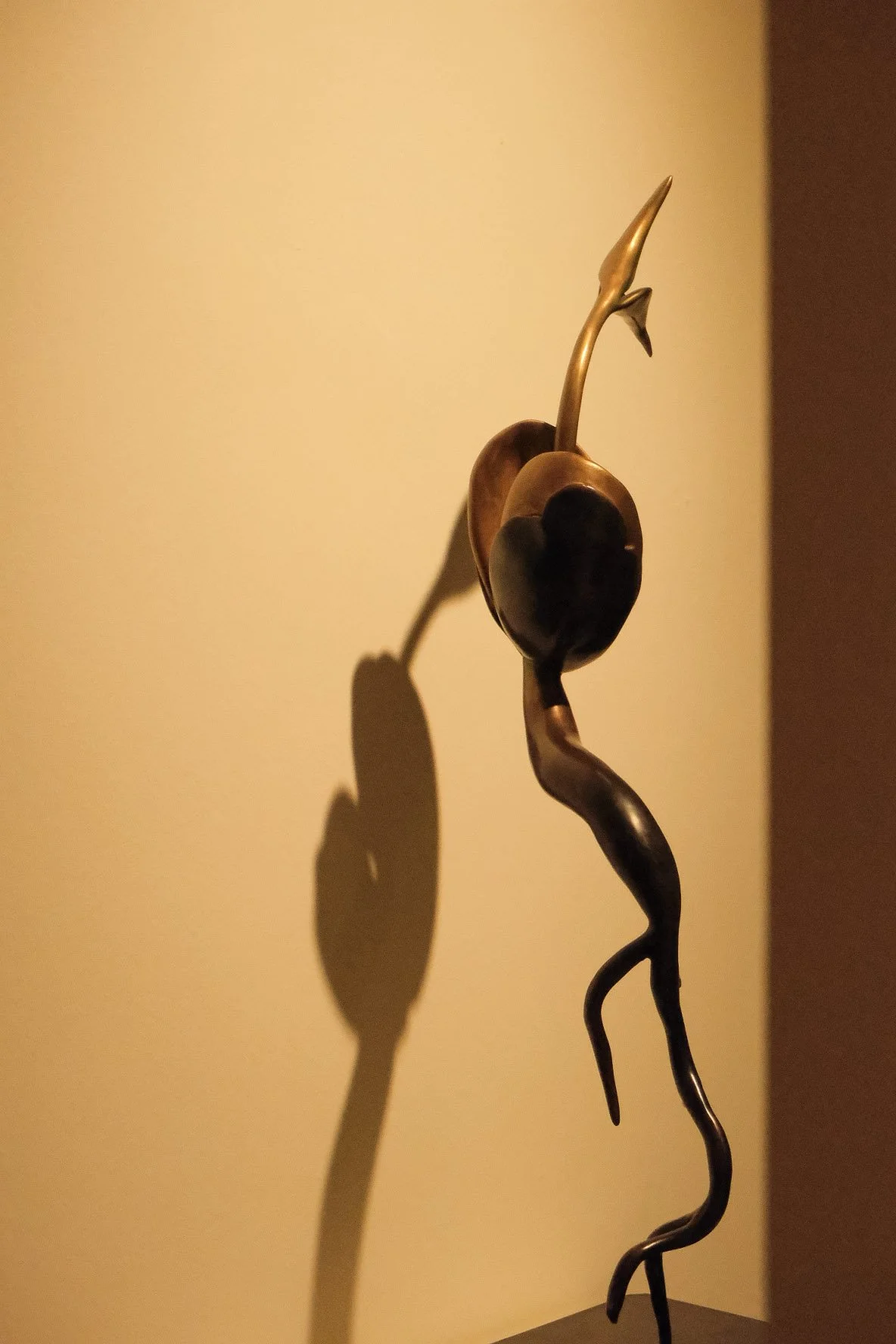 Routes & Roots_Image 4.jpg