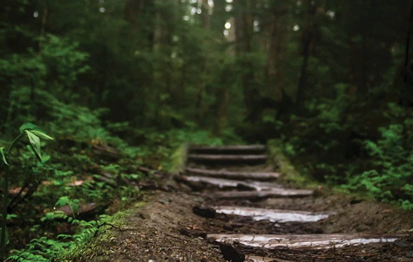 Rites of Passage & Transitions