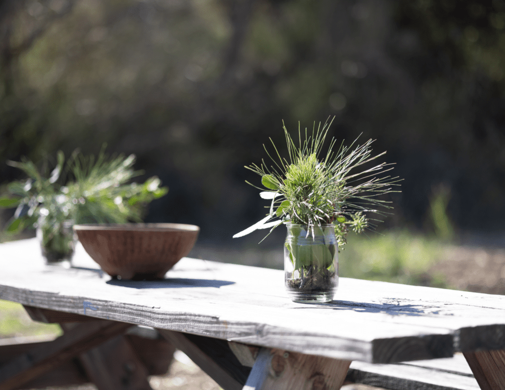 A rustic wooden table outdoors with two small glass jars containing green plants, one in the foreground and one in the background, with a blurred natural setting behind.