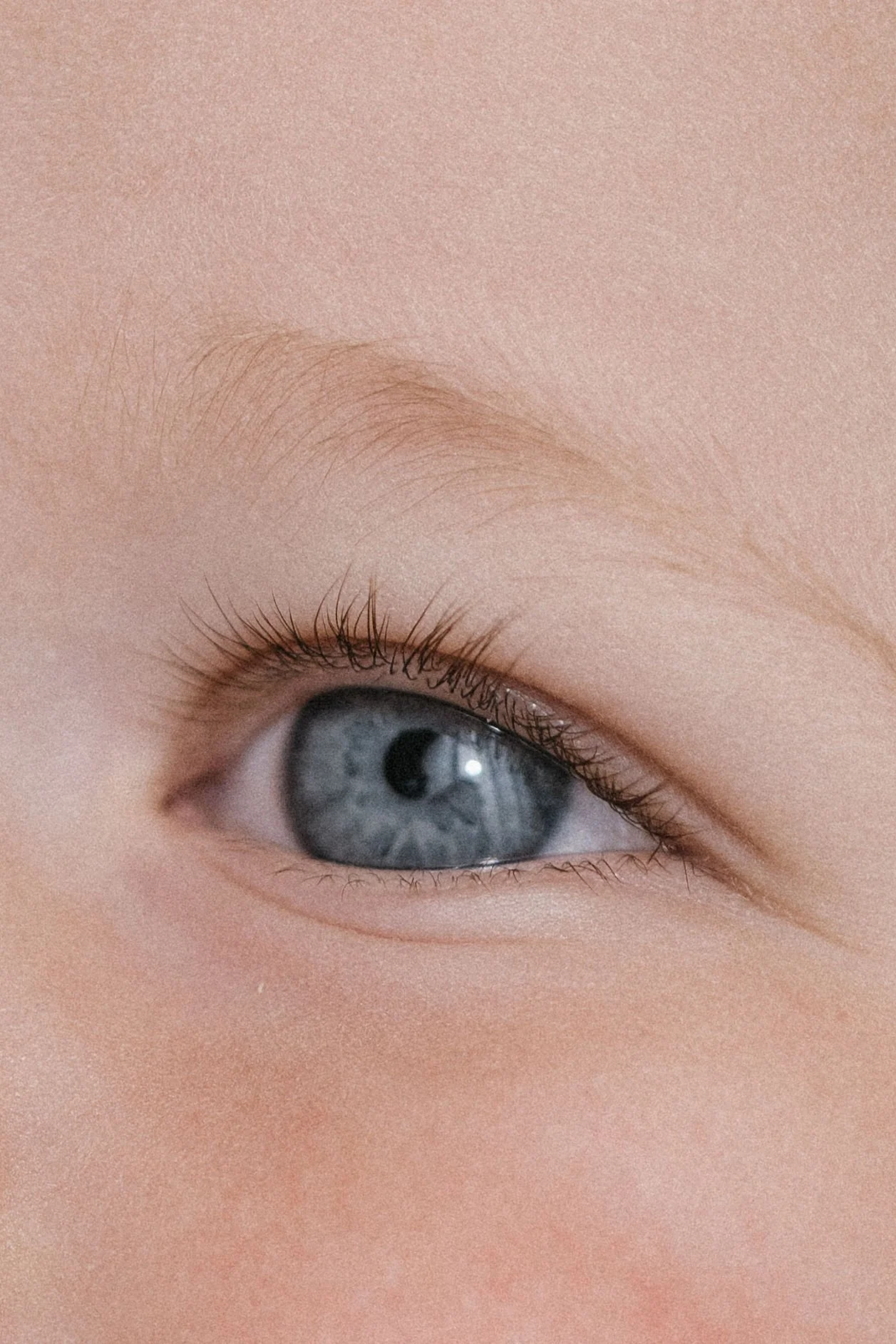 Close-up of a blue eye with visible eyelashes, eyebrow, and skin texture.