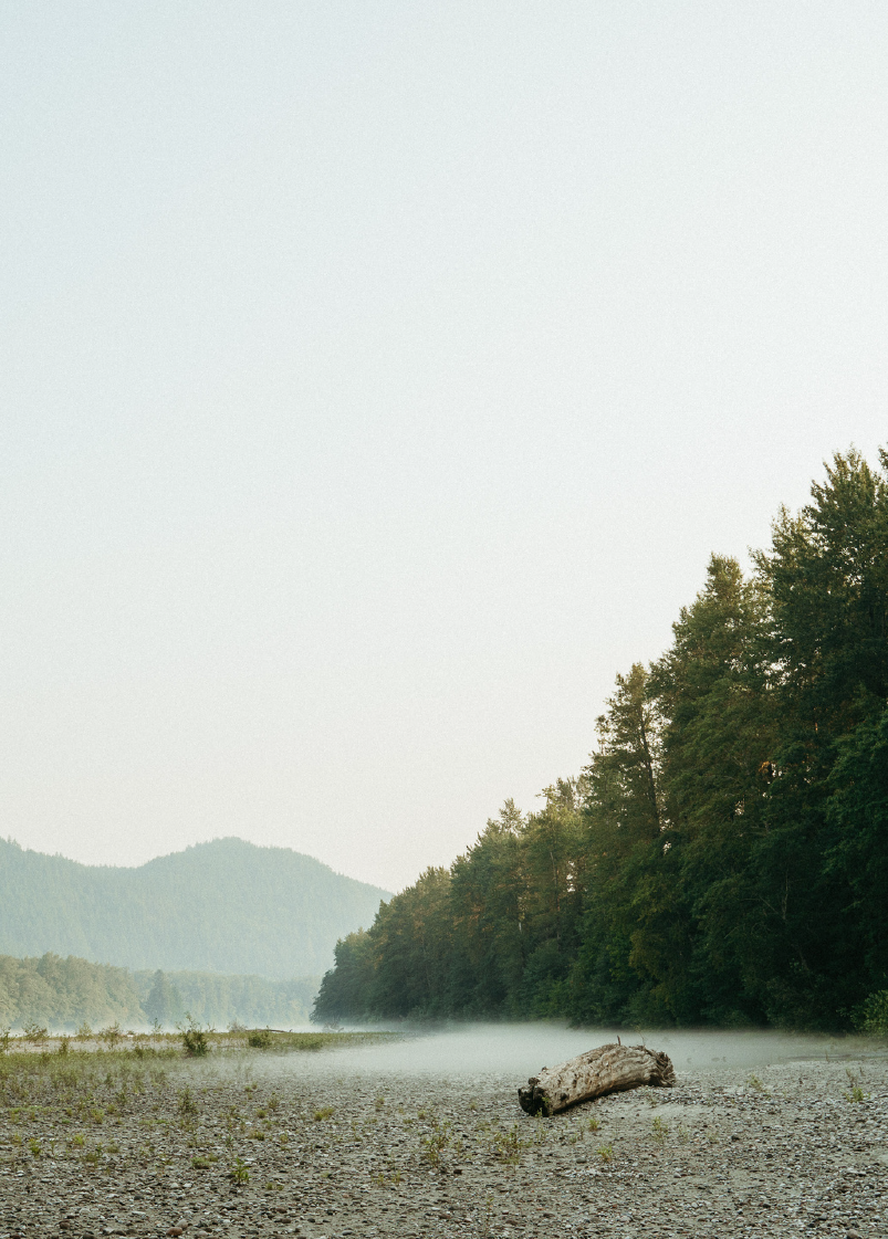 Squamish River 1.png