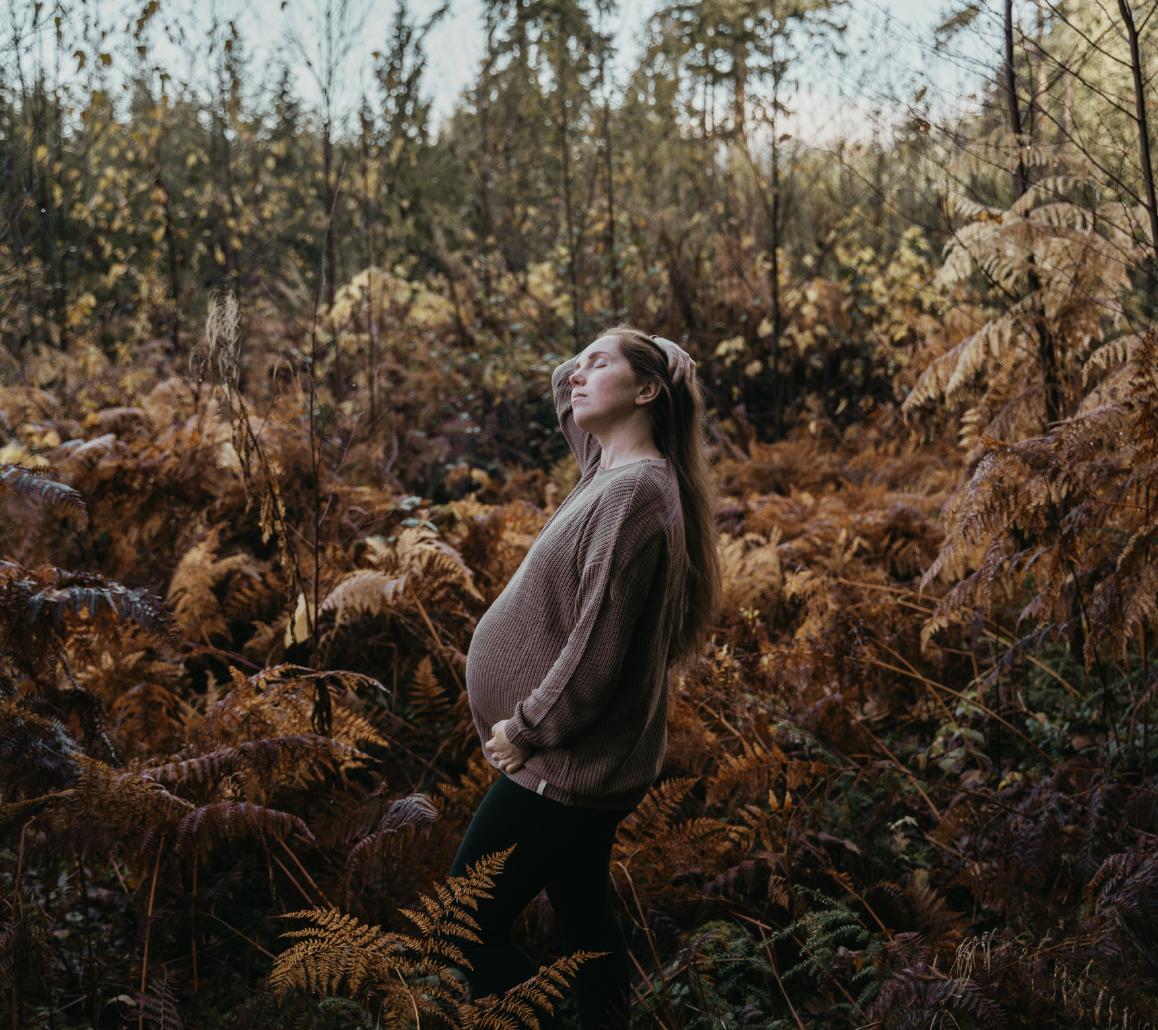 Brackendale Forest 2.png