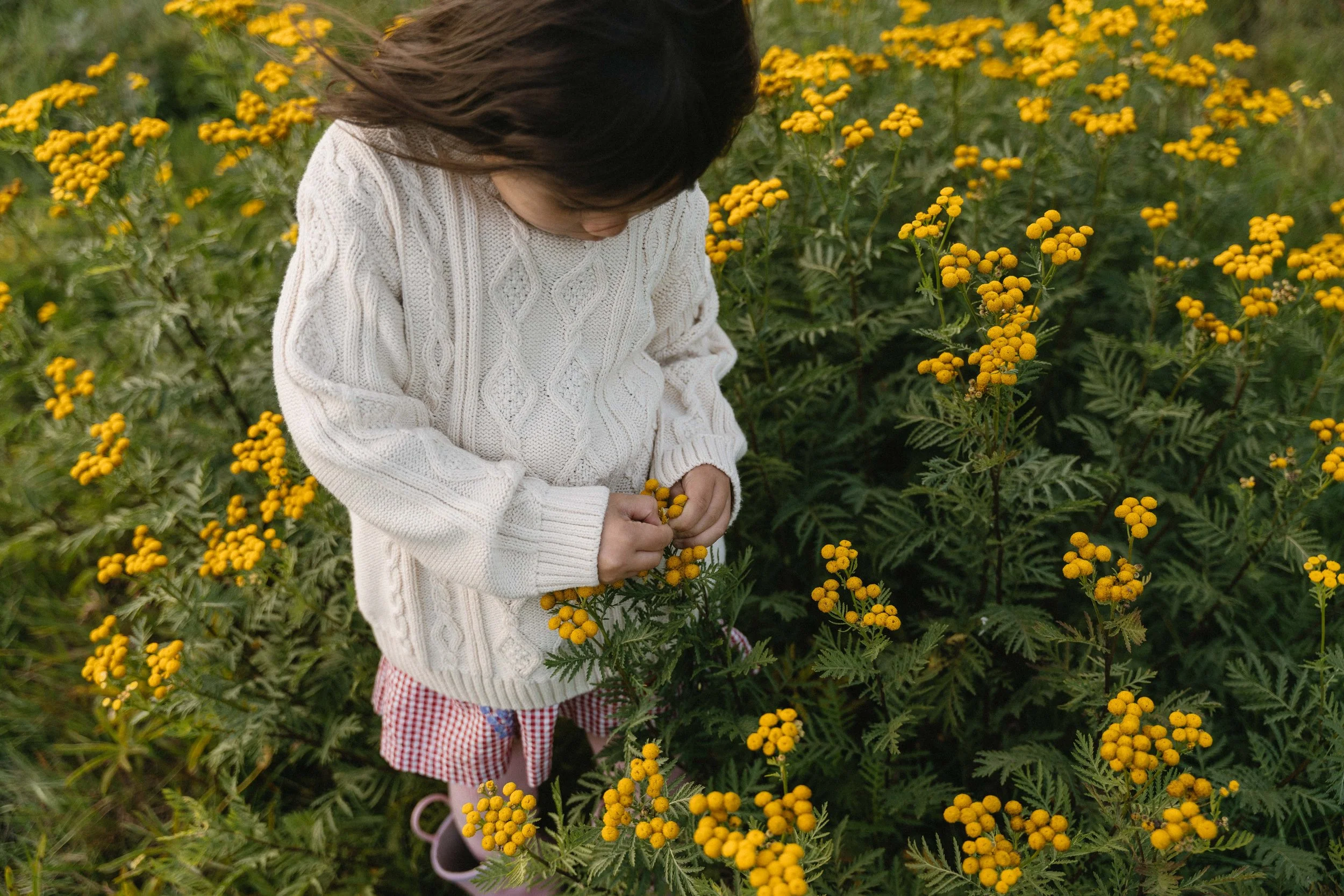 fall-gabrielalephotography-7.jpg