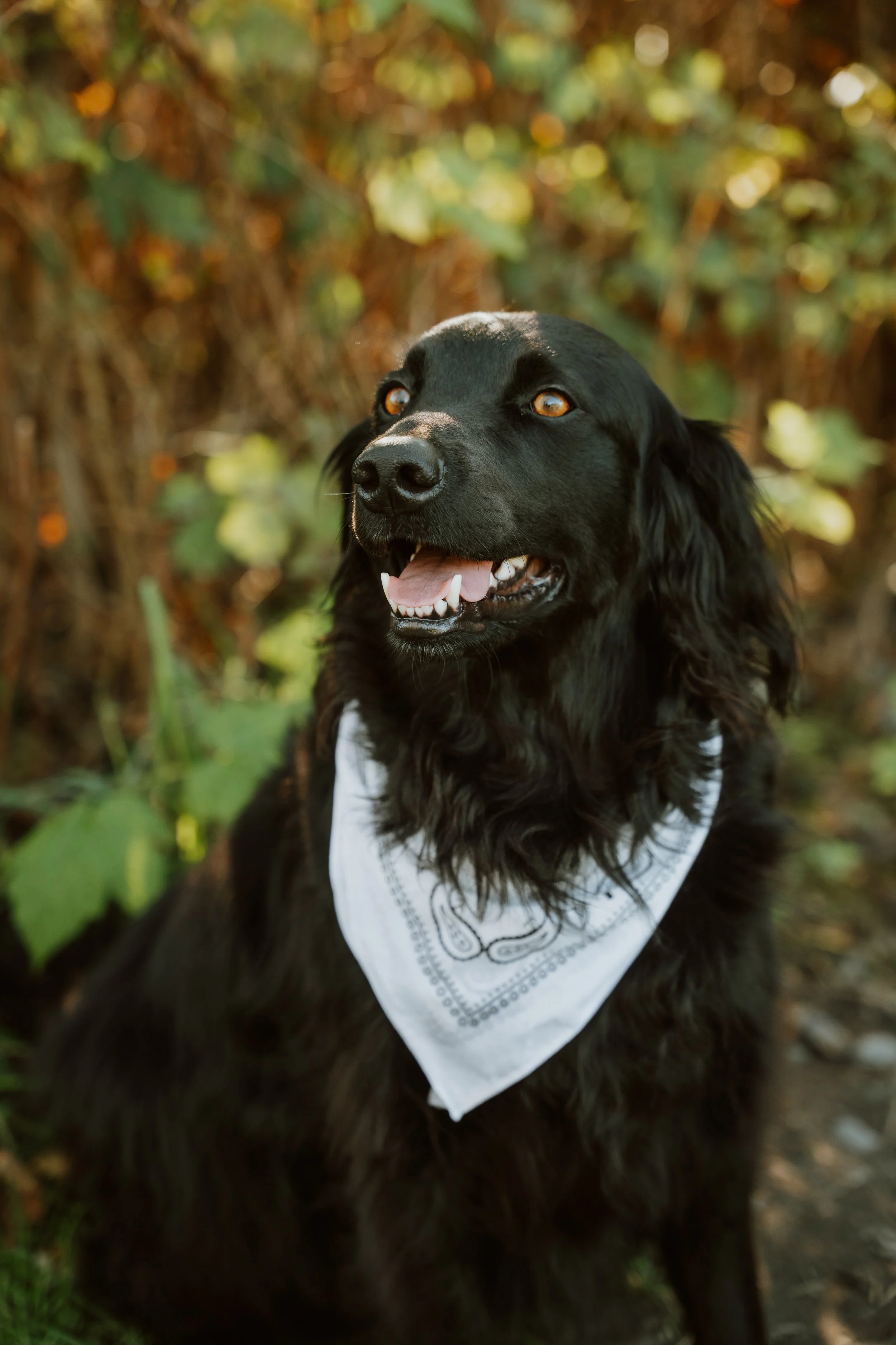 AVS-gabrielalephotography-6.jpg