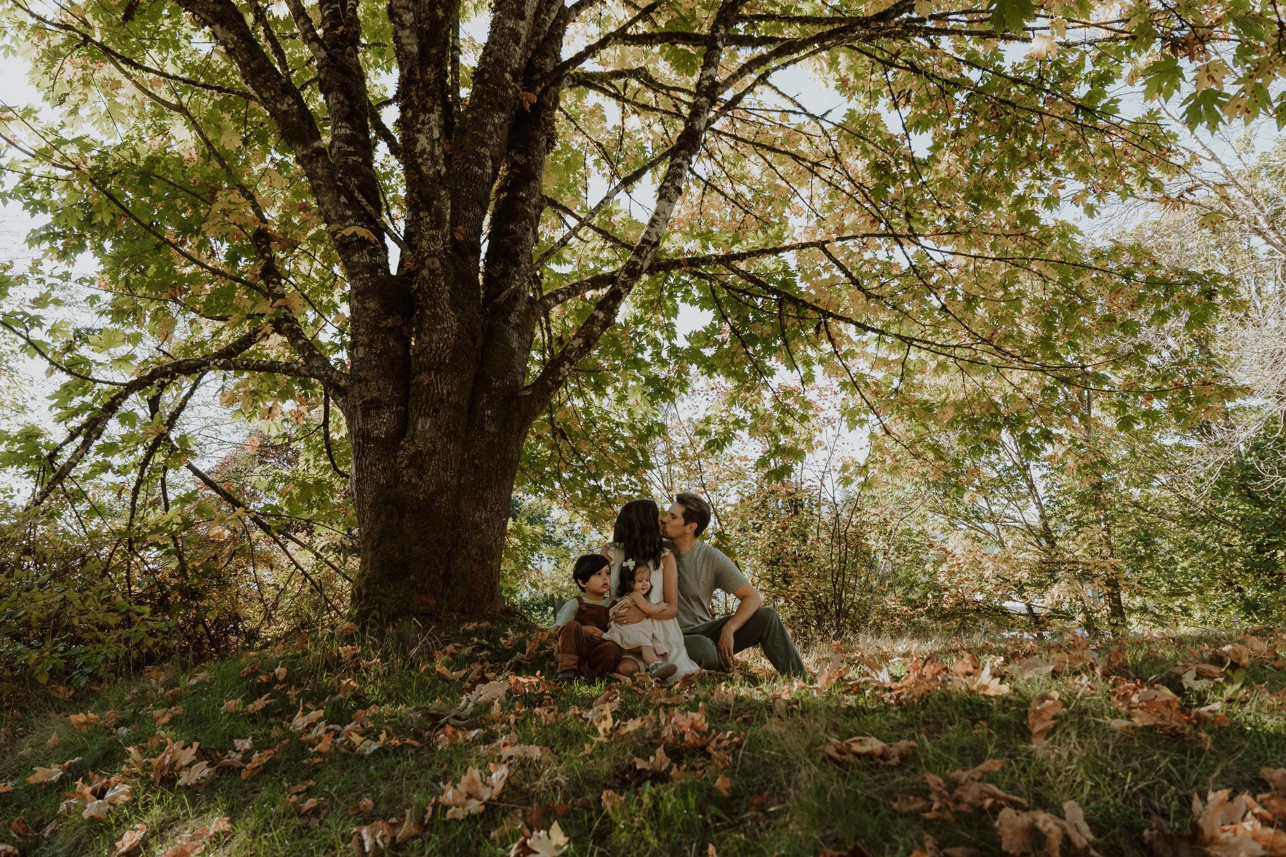A family of four sitting under a large tree in a park during autumn, with leaves scattered on the ground. The mother and father are kissing, while two children sit nearby, one holding a doll.