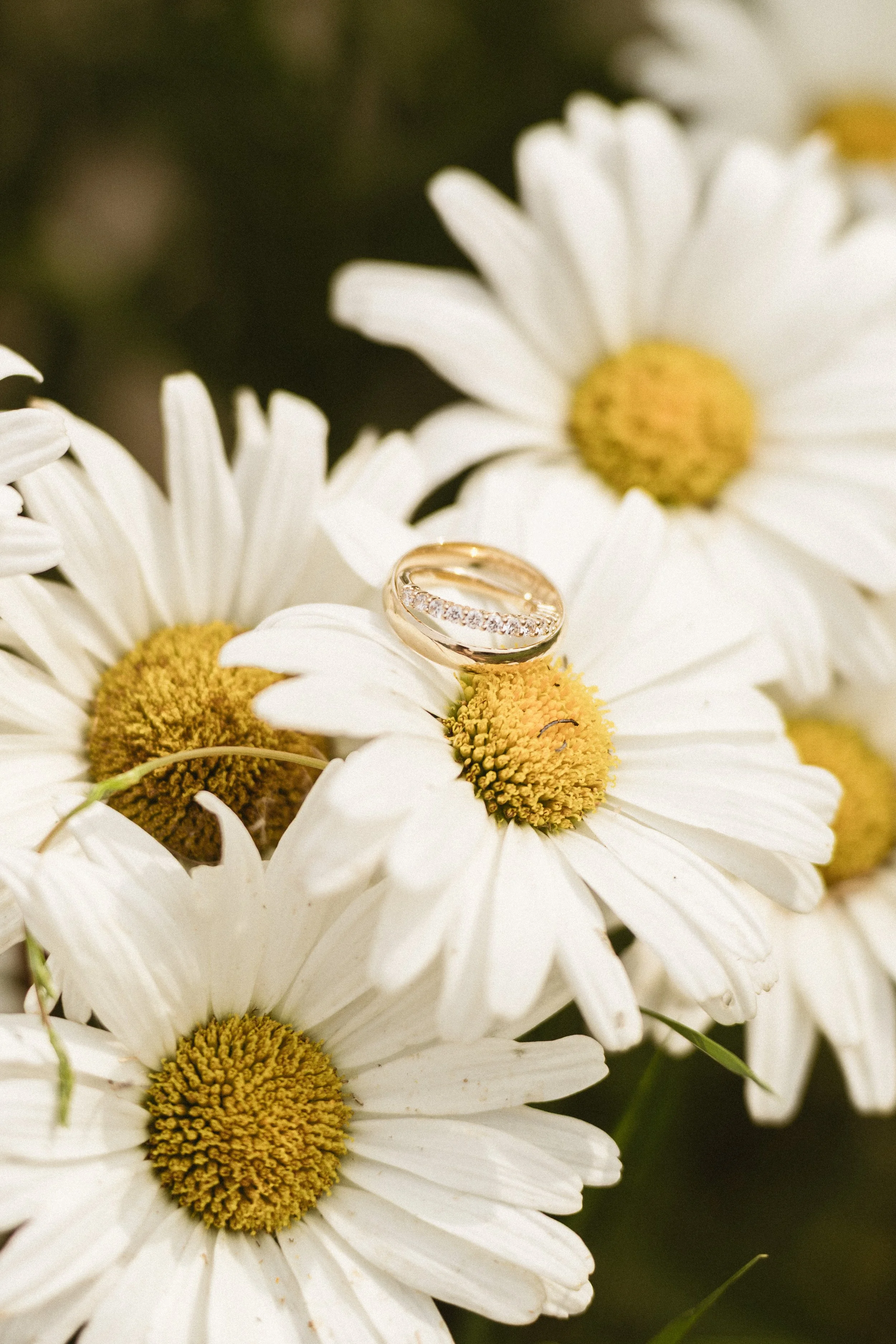 m+j-sneakpeek-gabrielalephotography-4.jpg