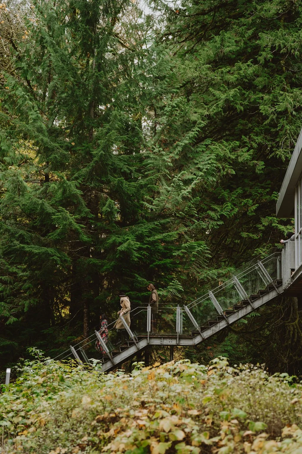 People walking on a metal staircase in a dense green forest.