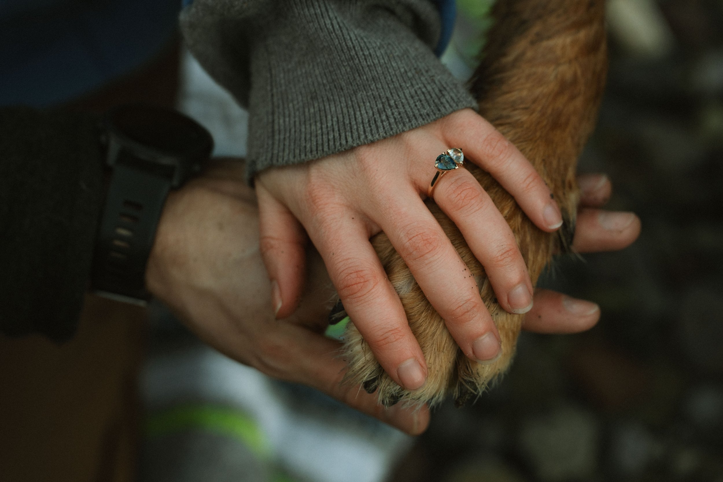 Close-up of a person's hand with a ring resting on a furry animal, possibly a dog or a fox, with a gray sleeve visible.