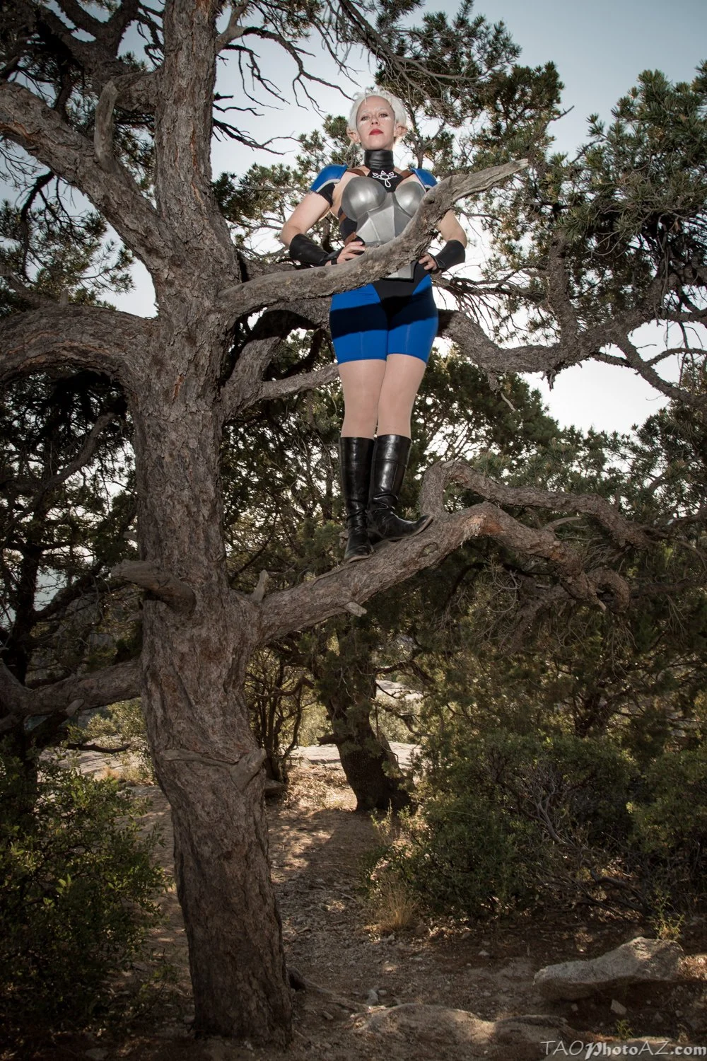 tree lo rez.jpeg