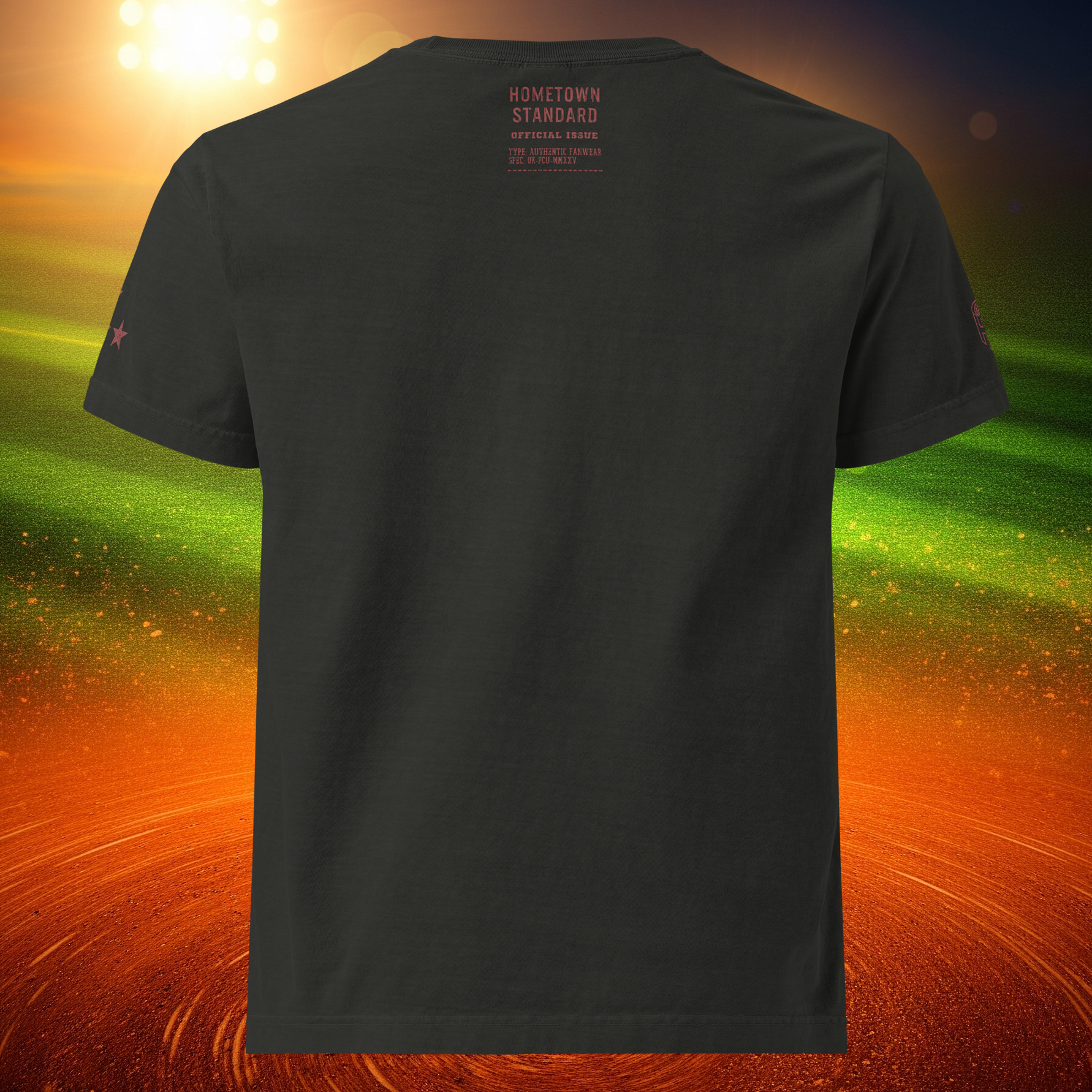 unisex-oversized-garment-dyed-t-shirt-washed-black-back-mock.png