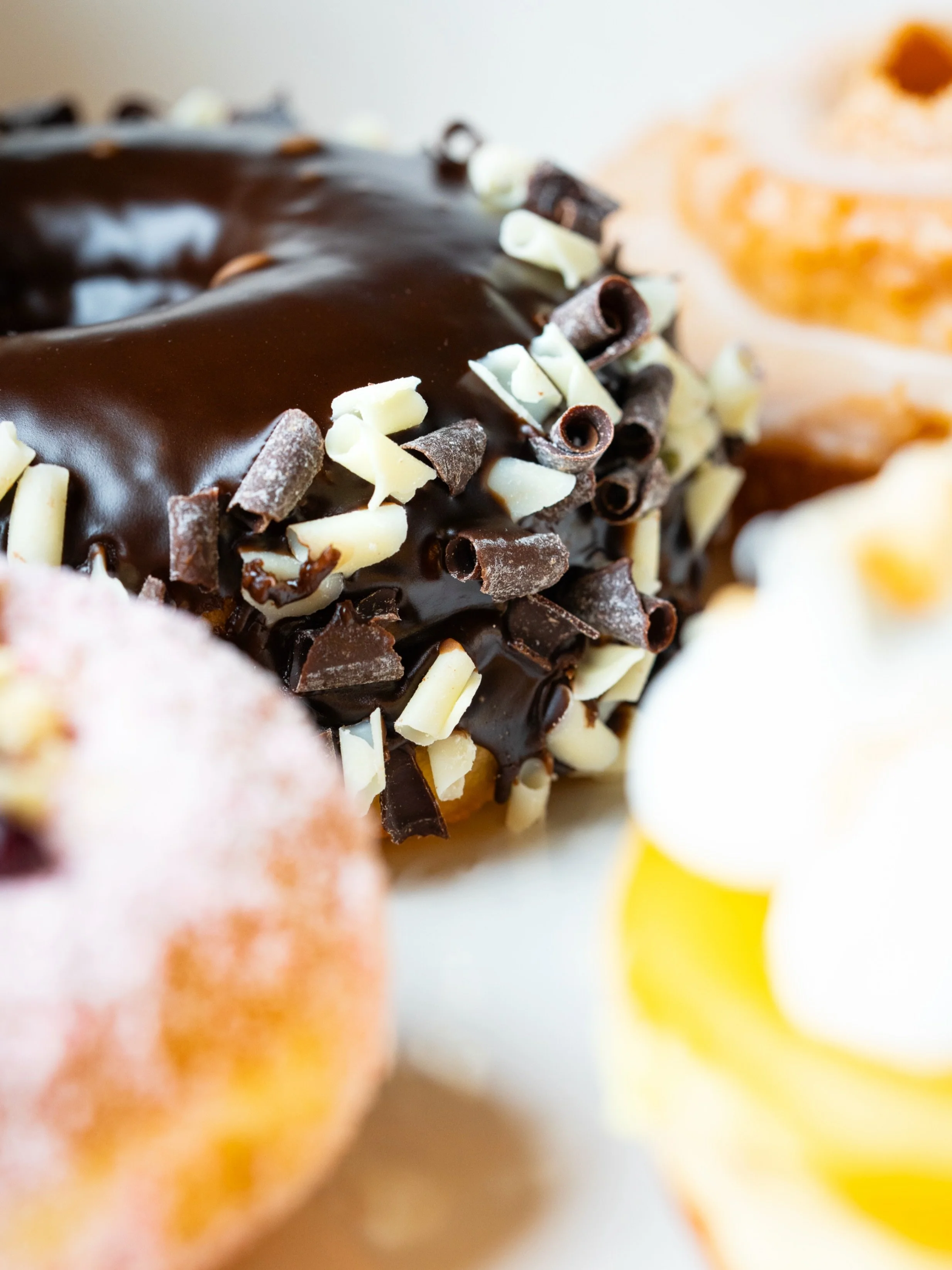 Our new Chocolate Fudge 🍩 looking all cute and stuff 🥹.