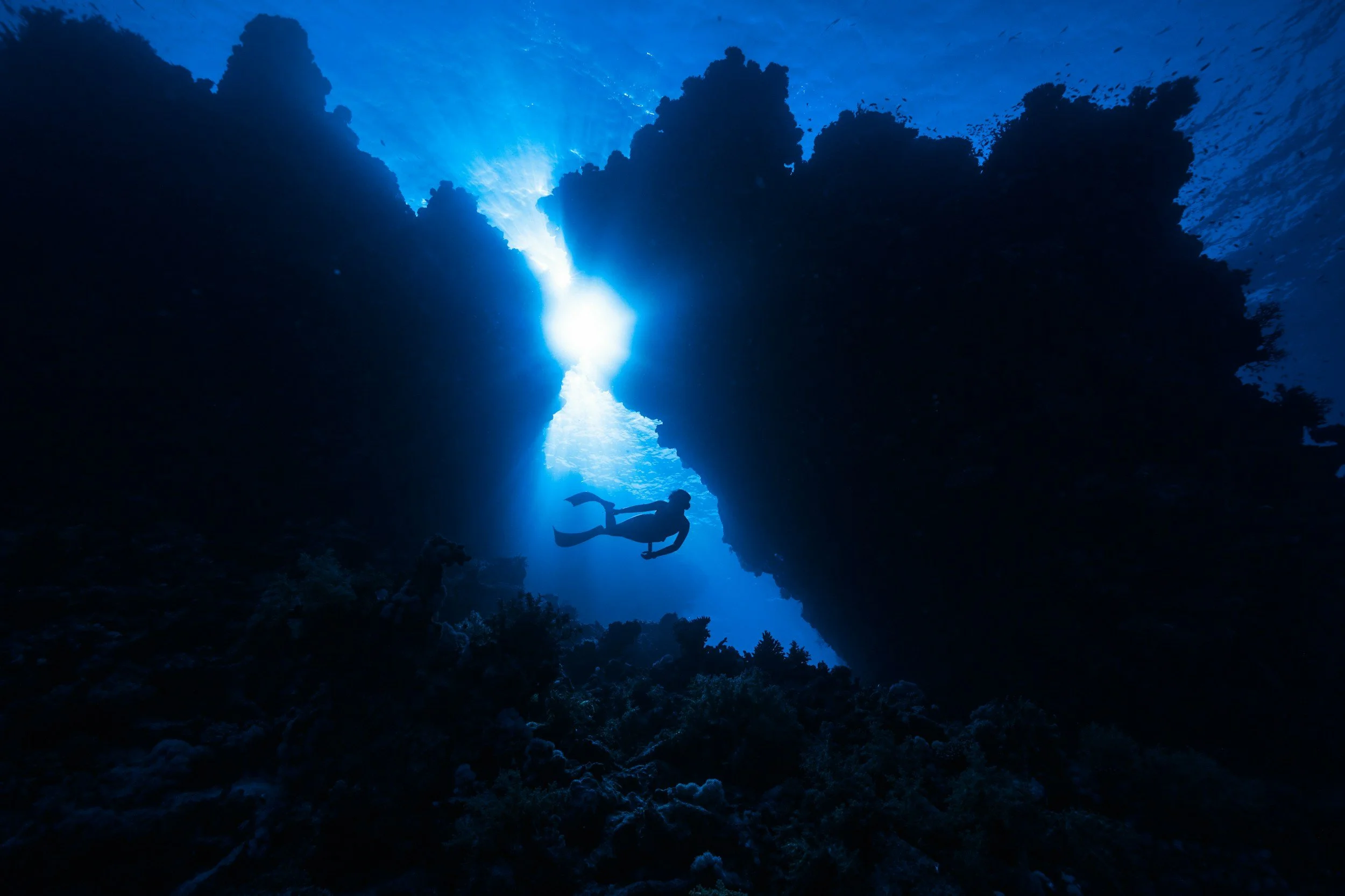 Polymetallic Nodules: Nature’s Riches on the Seafloor