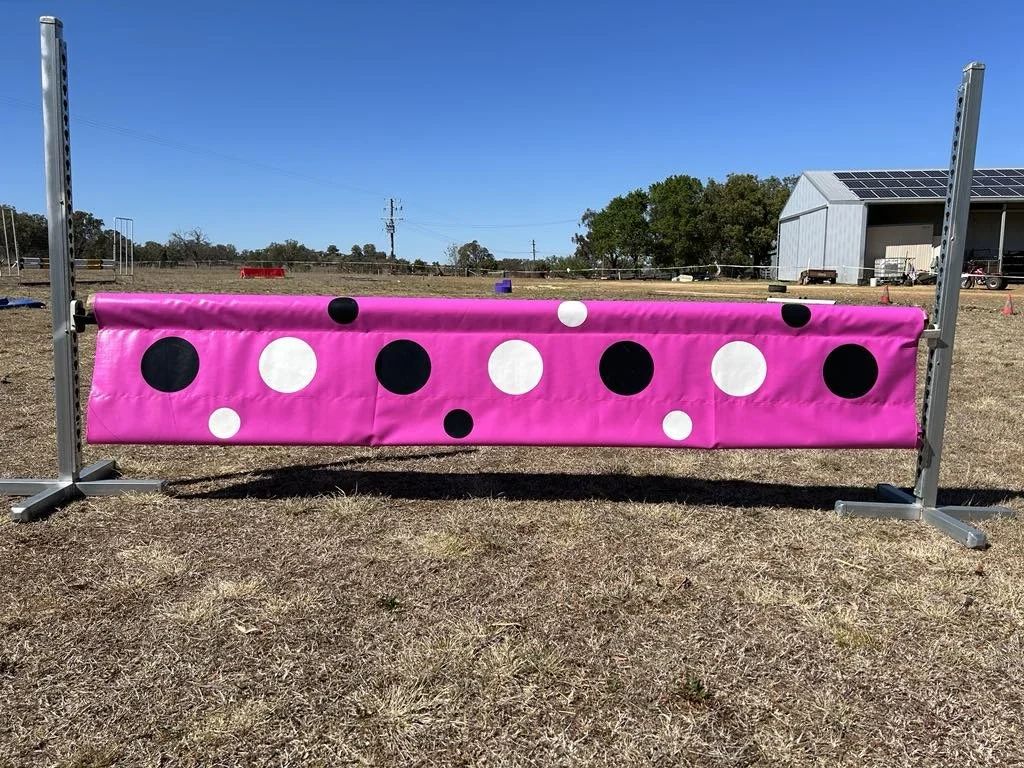 Plank Fill - Polka Dot Triple Row