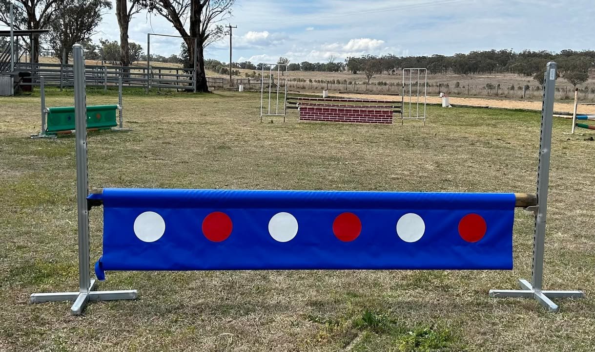 Plank Fill - Single Polka Dot