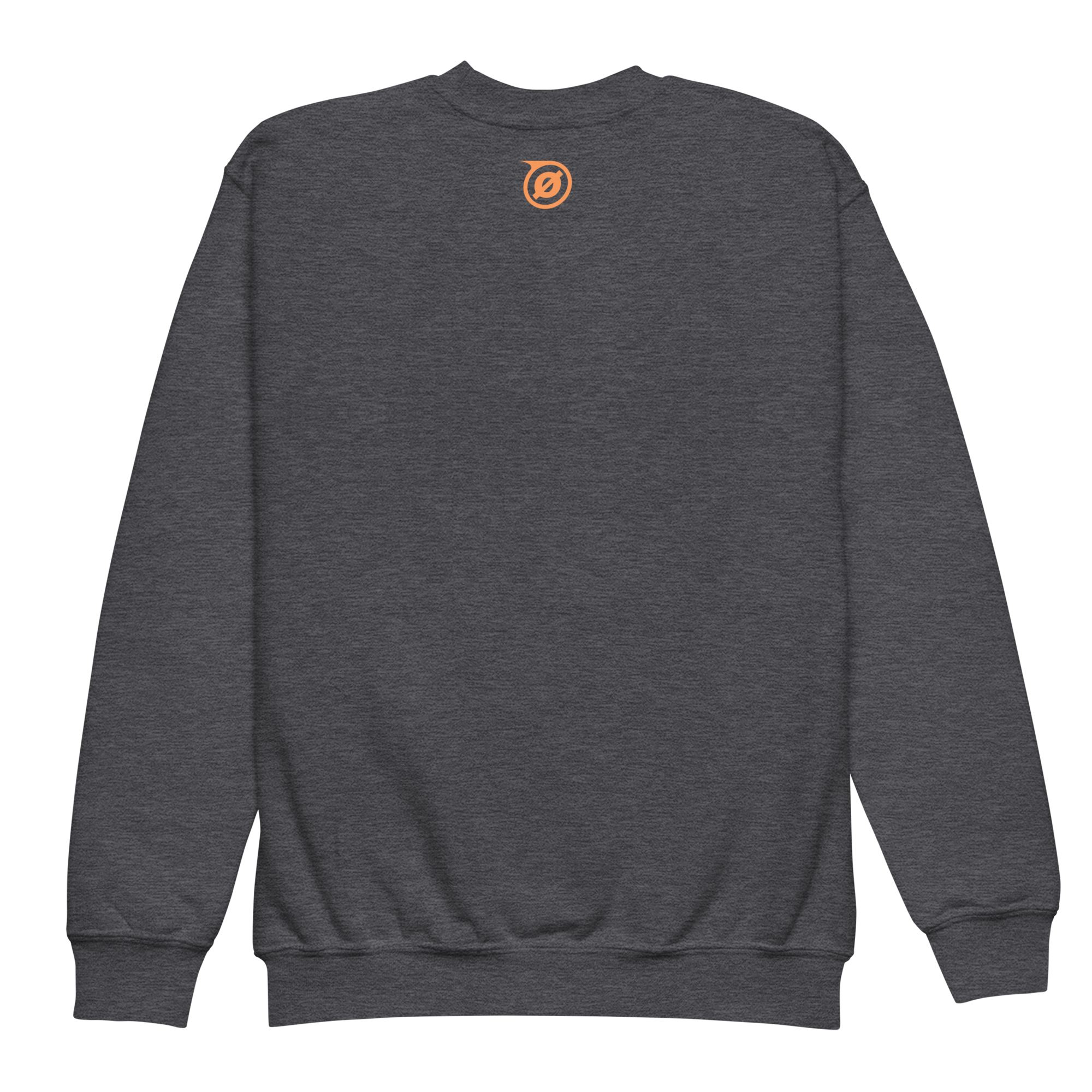 youth-crew-neck-sweatshirt-dark-heather-back-69f912f355154.png