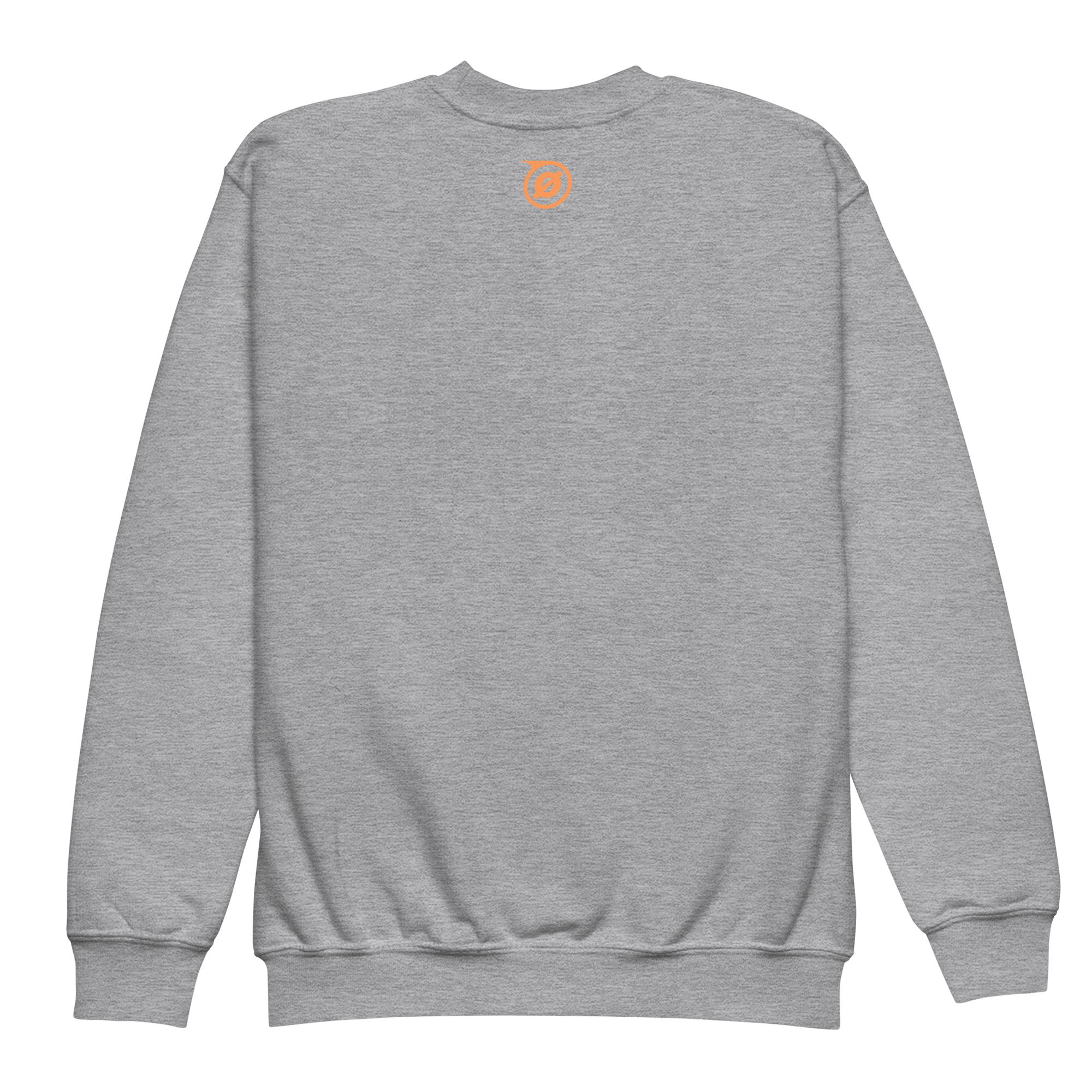 youth-crew-neck-sweatshirt-sport-grey-back-69f912f355400.png