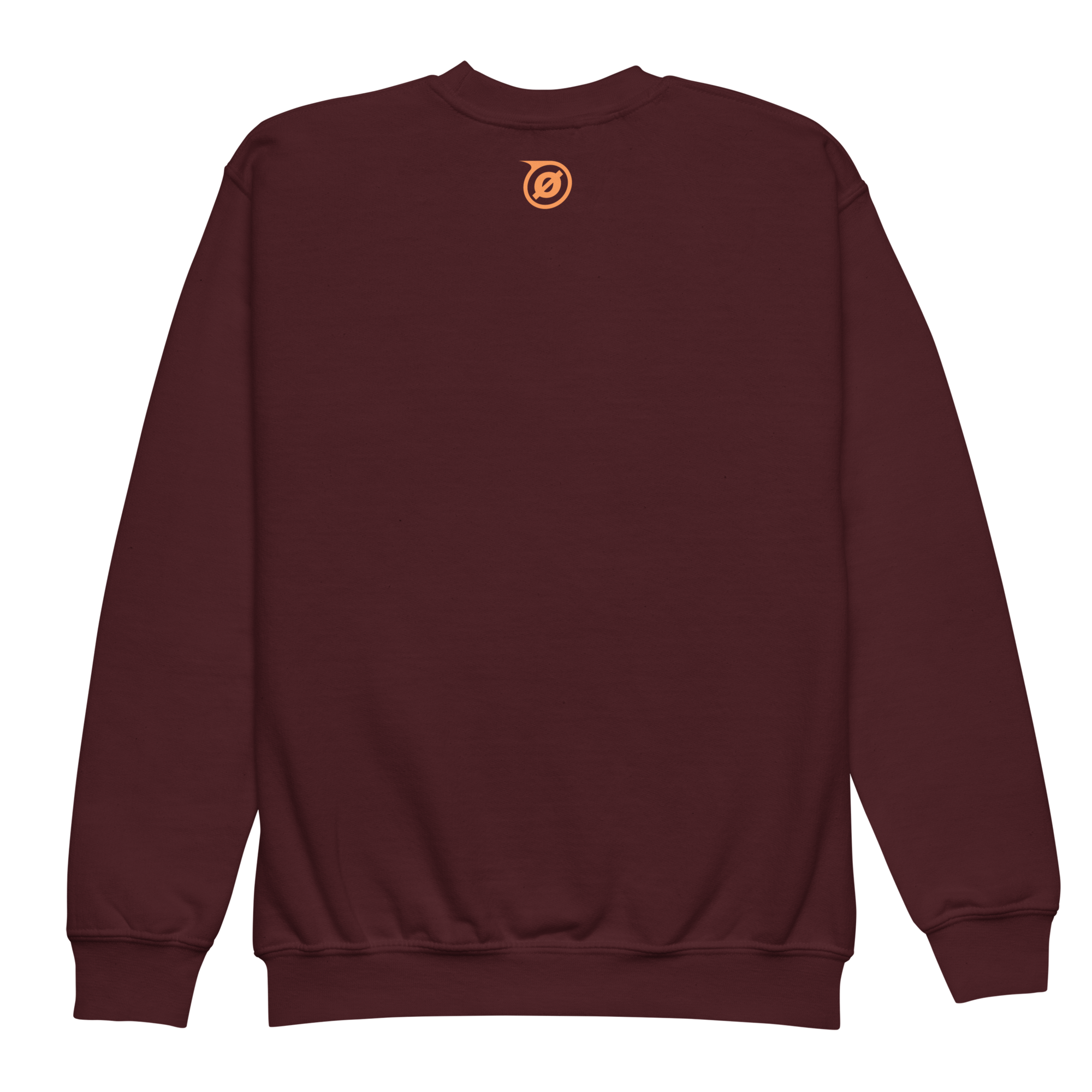 youth-crew-neck-sweatshirt-maroon-back-69f912f3551e0.png