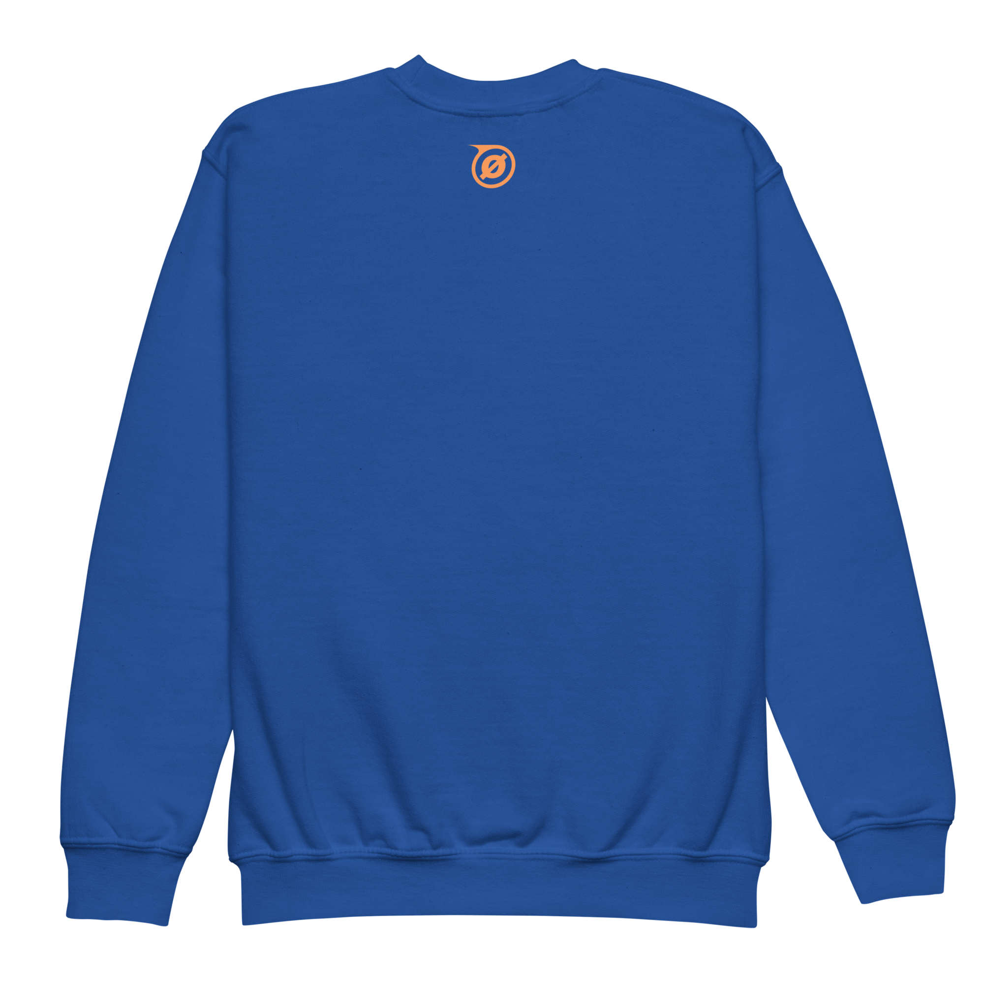 youth-crew-neck-sweatshirt-royal-back-69f912f355375.png