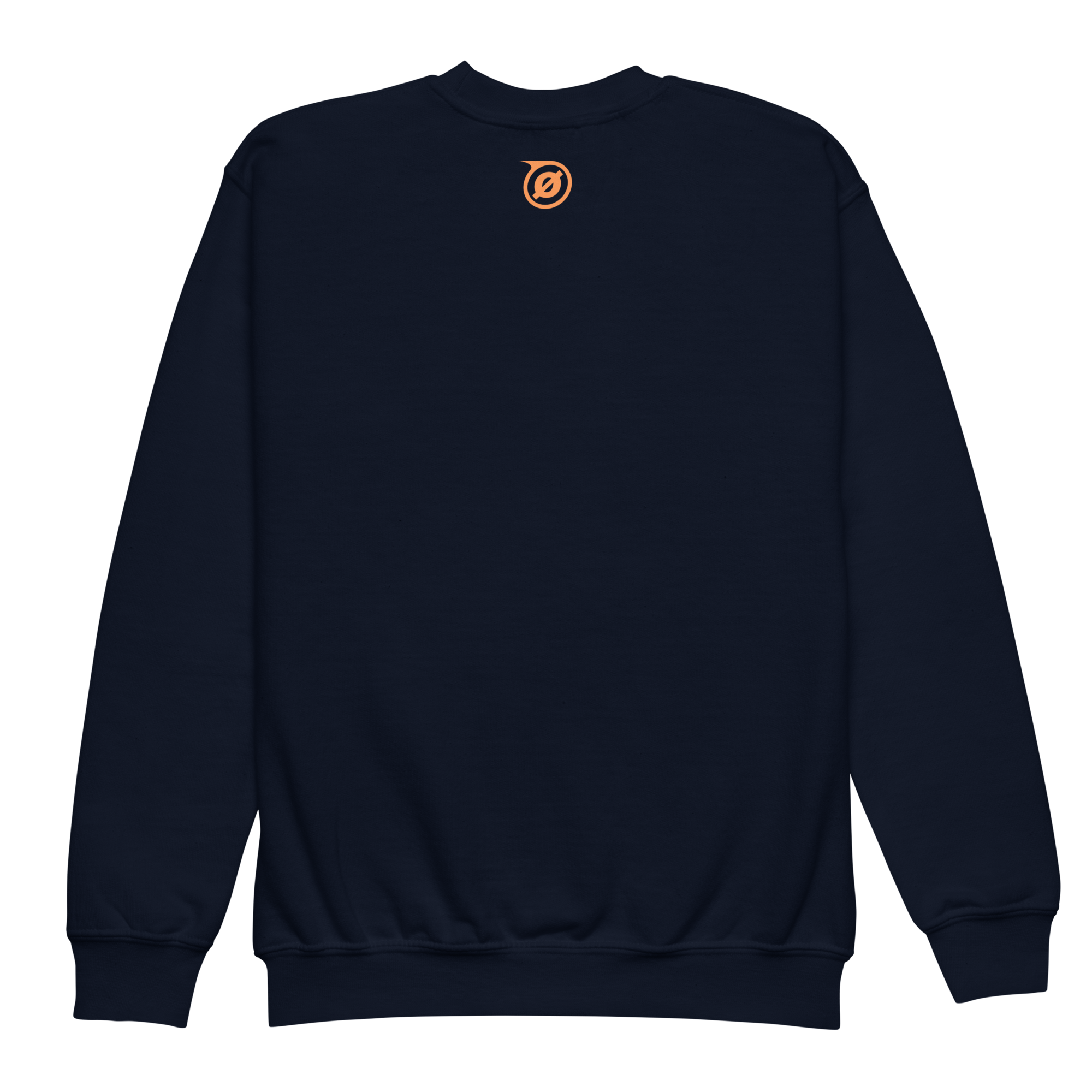 youth-crew-neck-sweatshirt-navy-back-69f912f355263.png