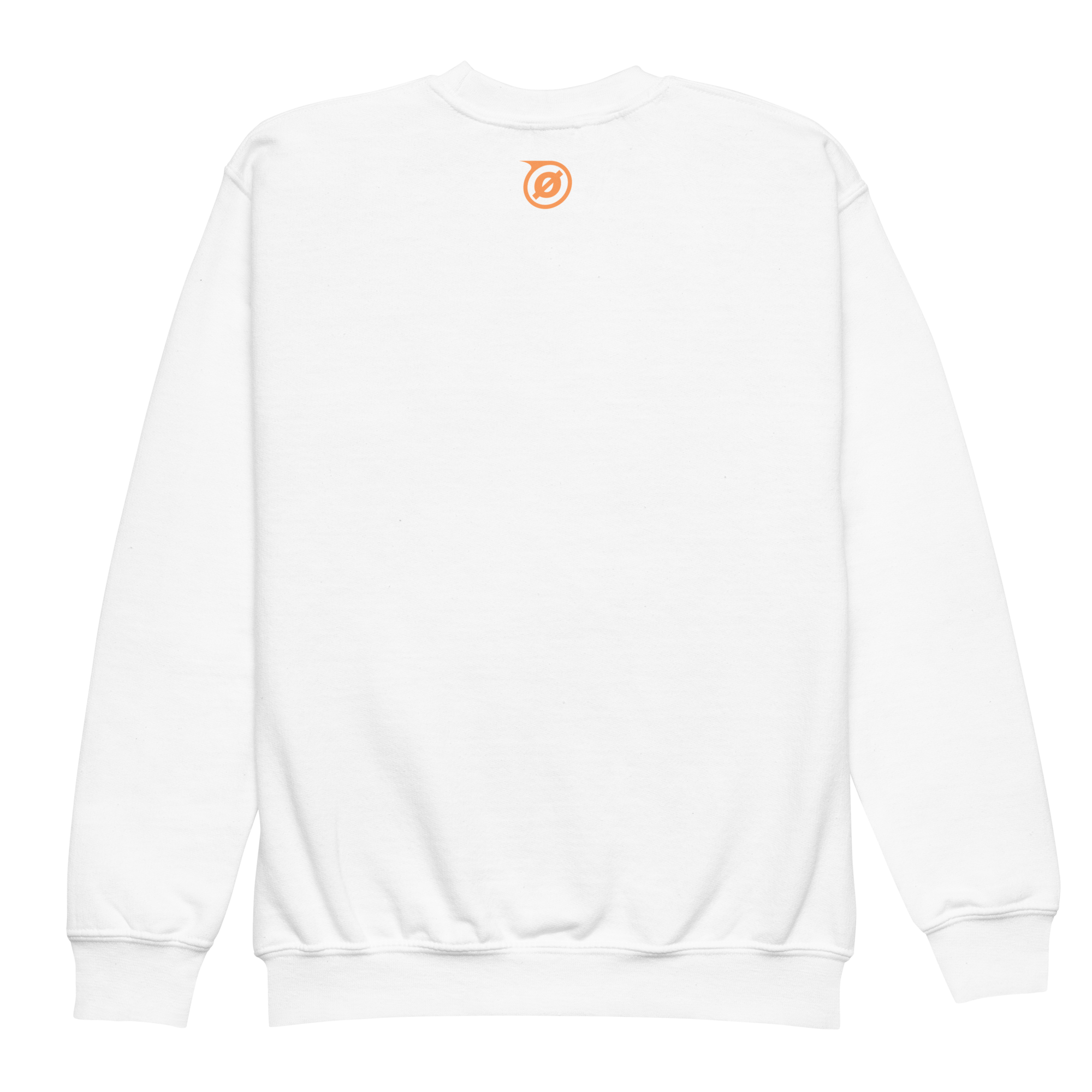 youth-crew-neck-sweatshirt-white-back-69f912f3554ae.png