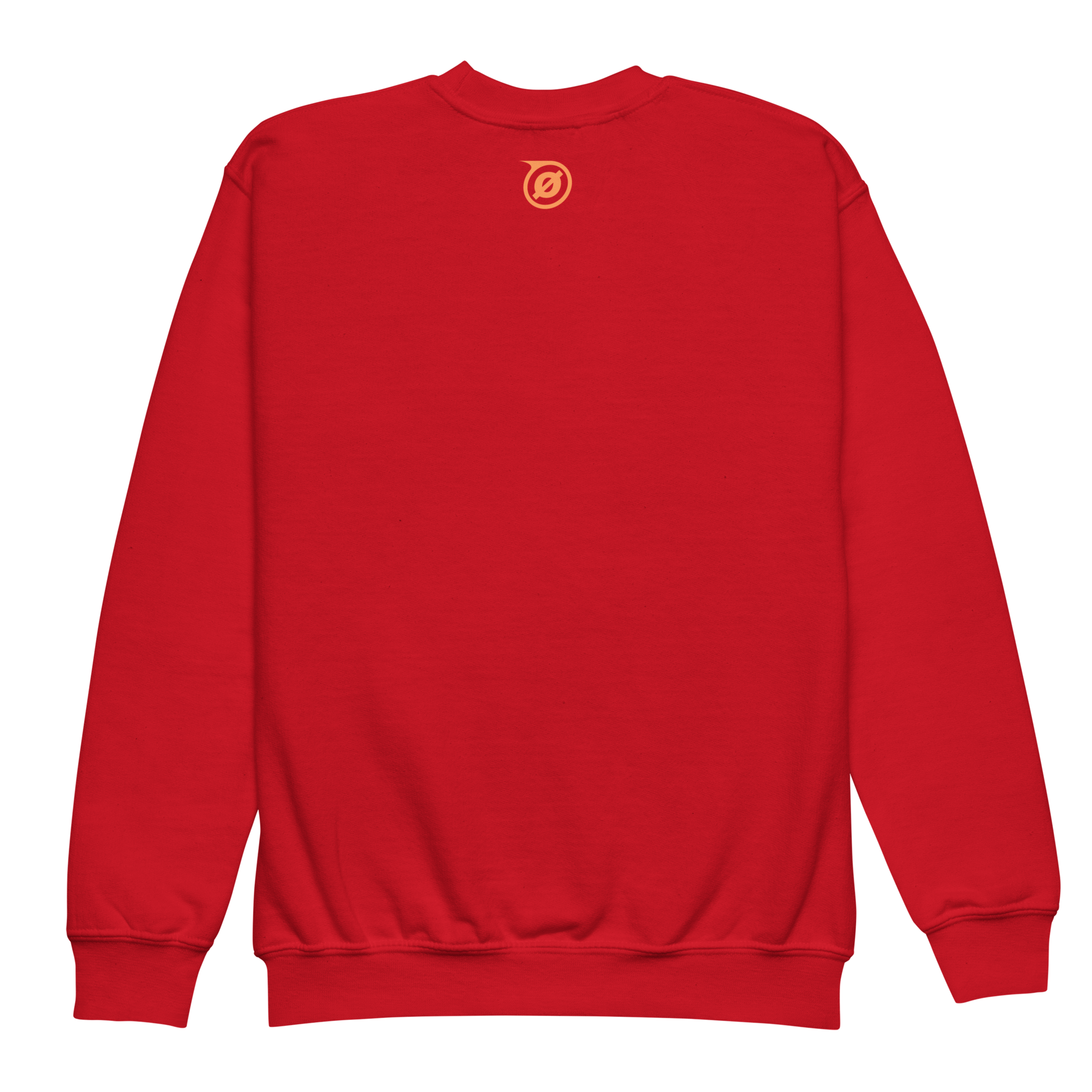 youth-crew-neck-sweatshirt-red-back-69f912f3552e8.png